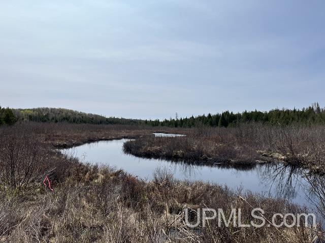 40 Acres Little Lake Road photo 2