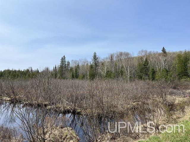 40 Acres Little Lake Road photo 14