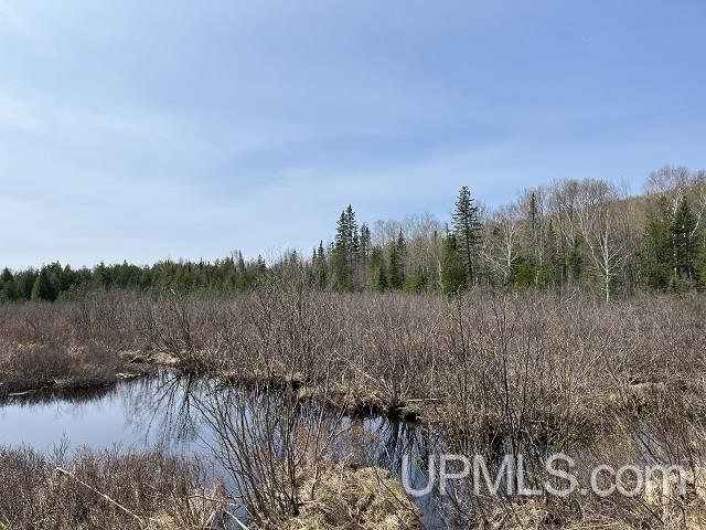40 Acres Little Lake Road photo 15