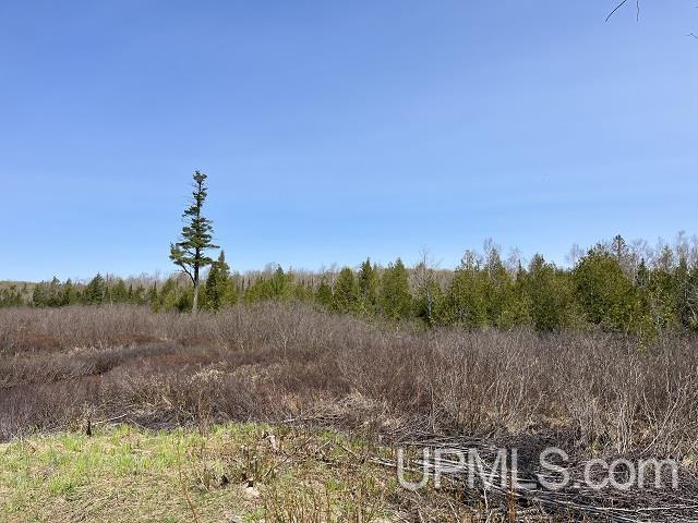 40 Acres Little Lake Road photo 16