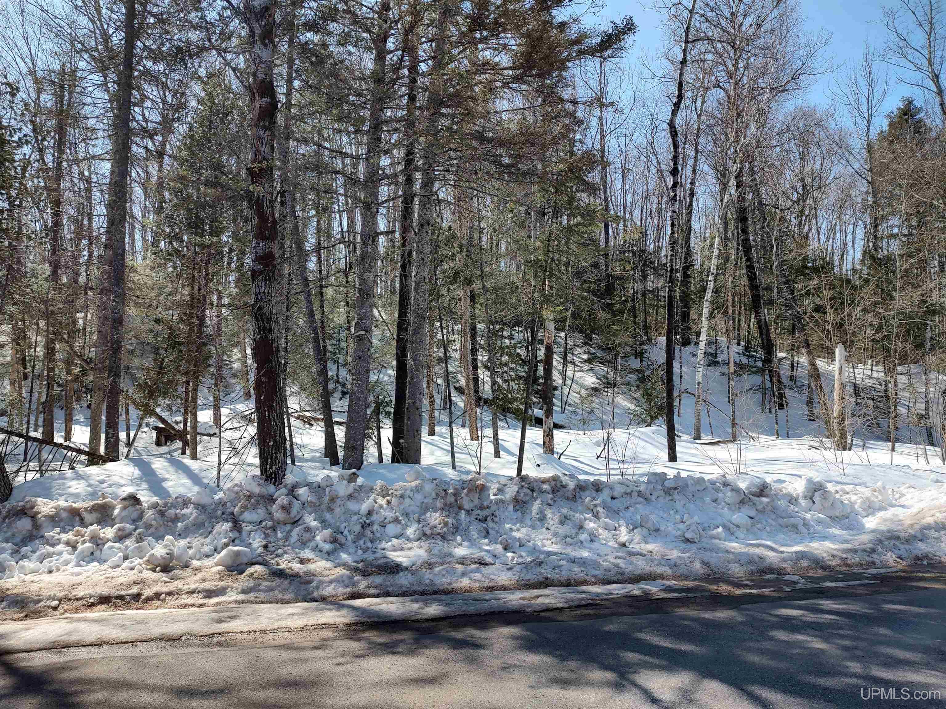 40 Acres Little Lake Road photo 19