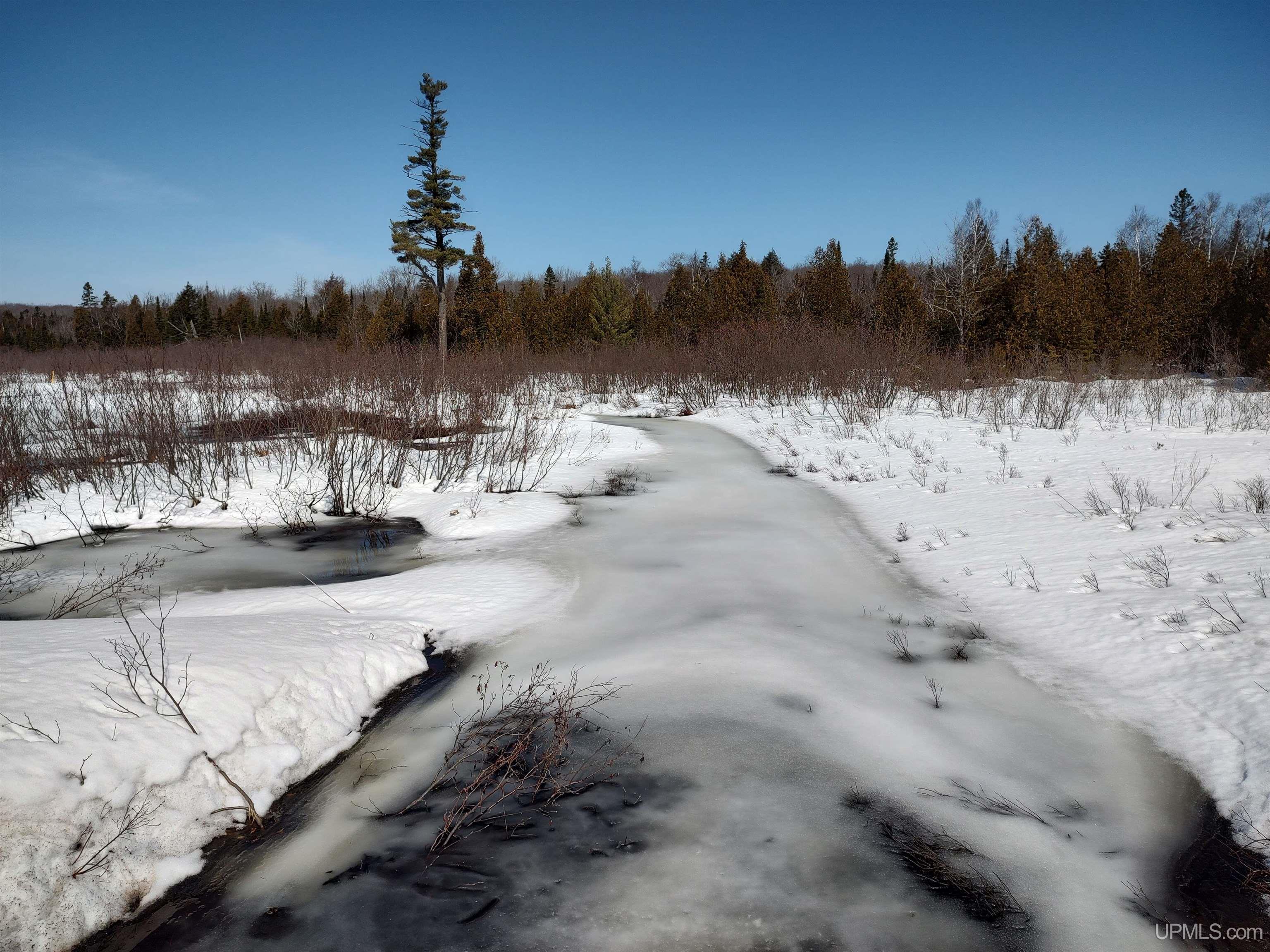 40 Acres Little Lake Road photo 3