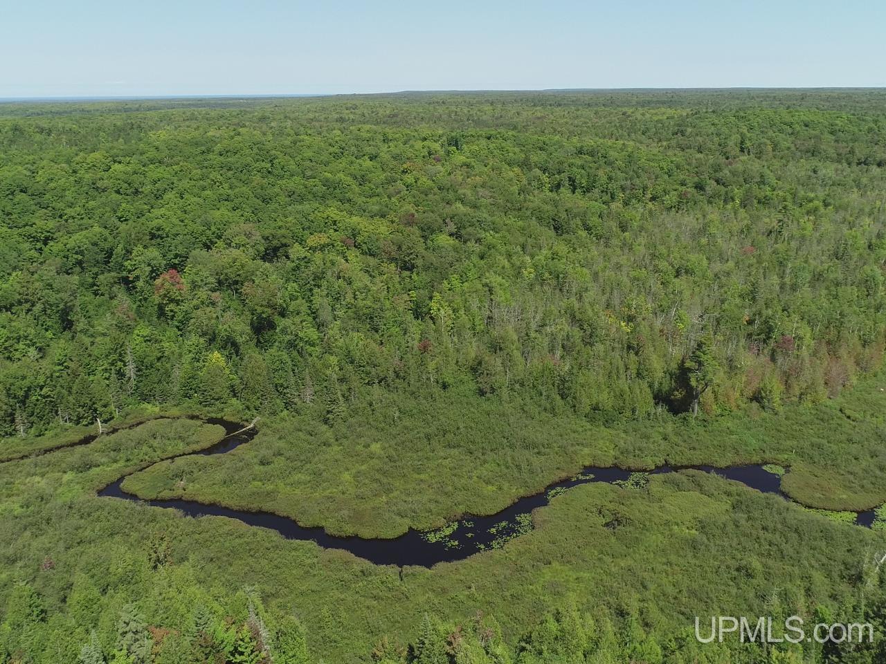 Photo 4 of Land for sale at 40 Acres Little Lake Rd, Gwinn, MI 49841 | MLS# 50200518 | Listing updated on 2026-09-01