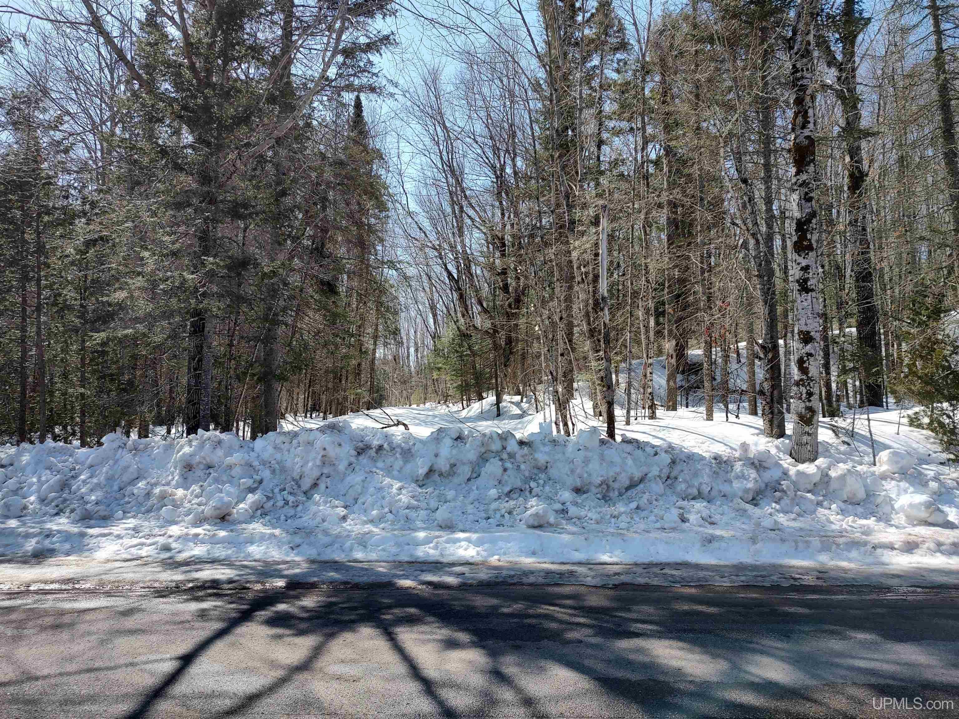 40 Acres Little Lake Road photo 5