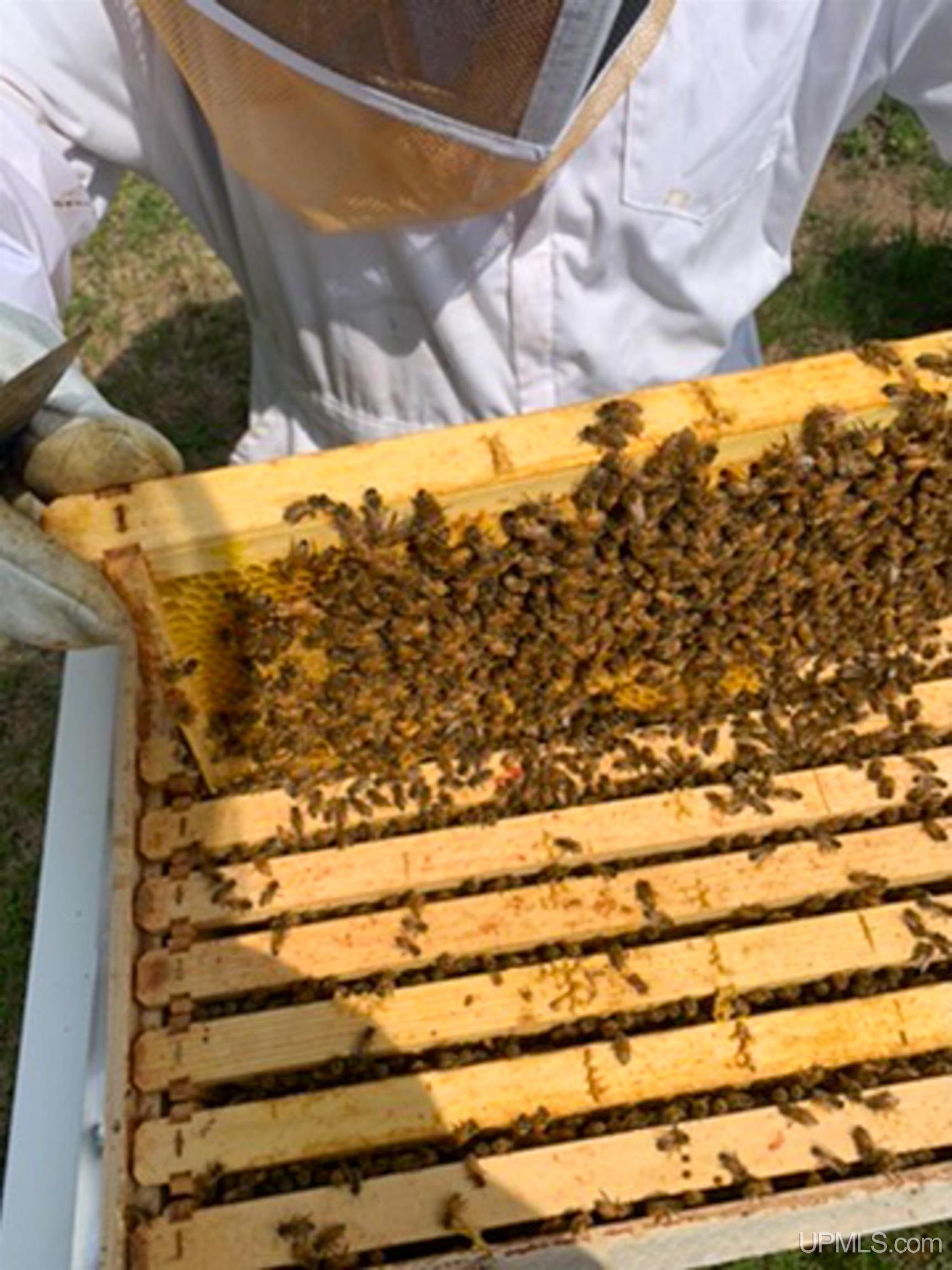 130 Taylor Road, Gwinn, MI, 49841