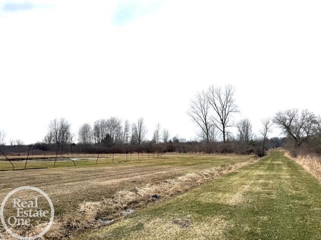 15594 Bryce Road, Capac, MI, 48014