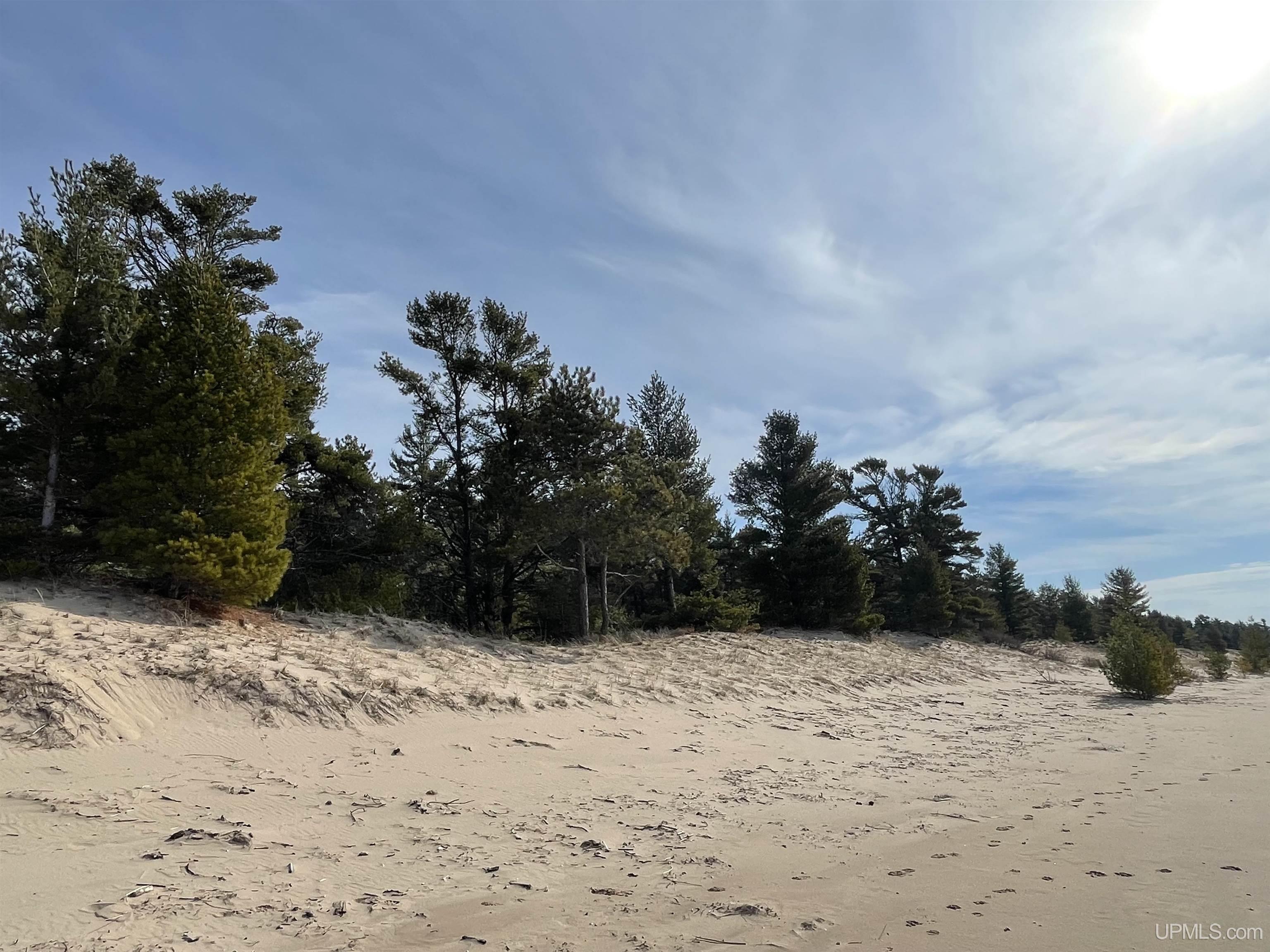 4264 FF Top O' The Lake Road, Gulliver, MI, 49840