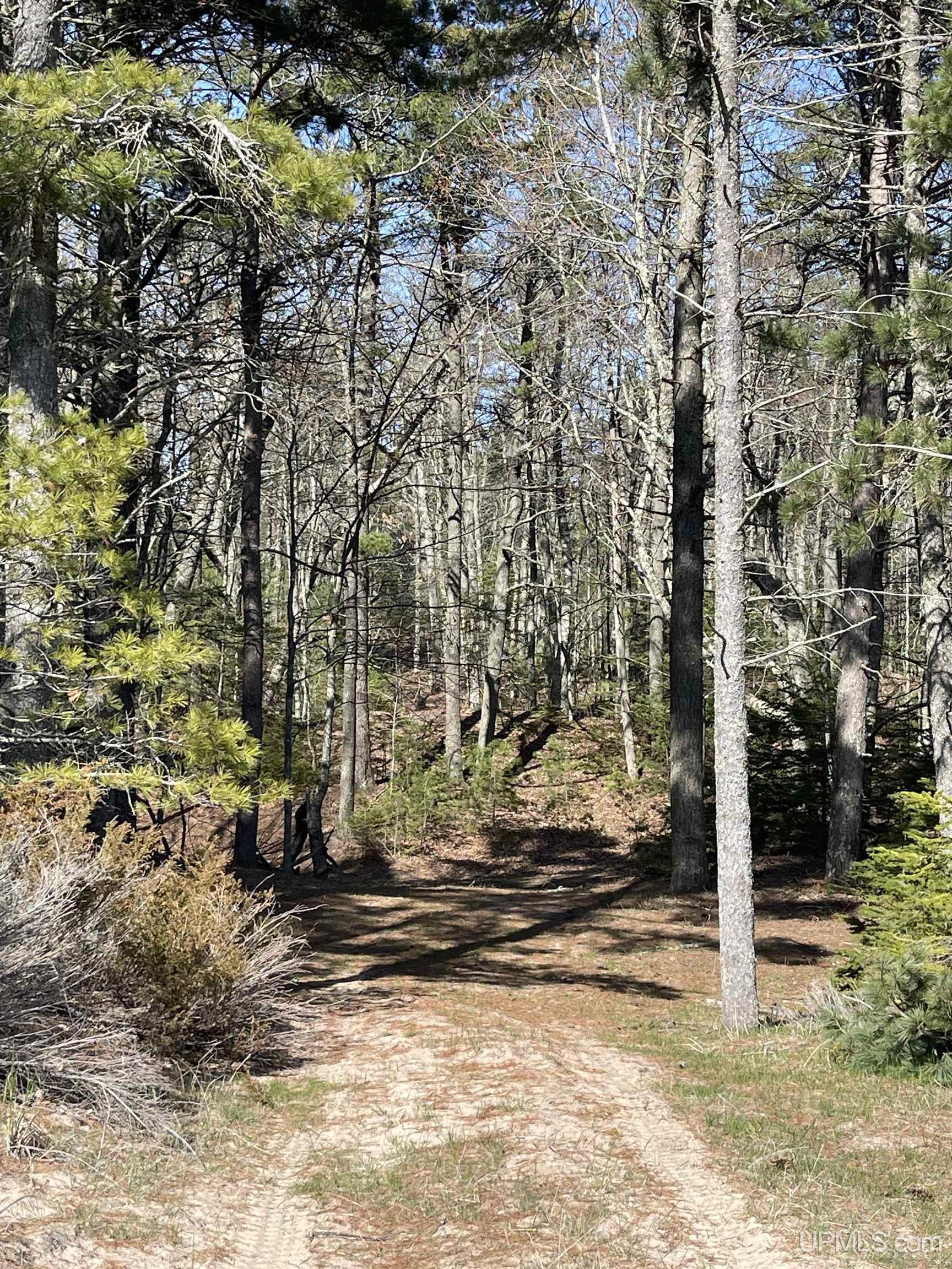 4264 FF Top O' The Lake Road, Gulliver, MI, 49840