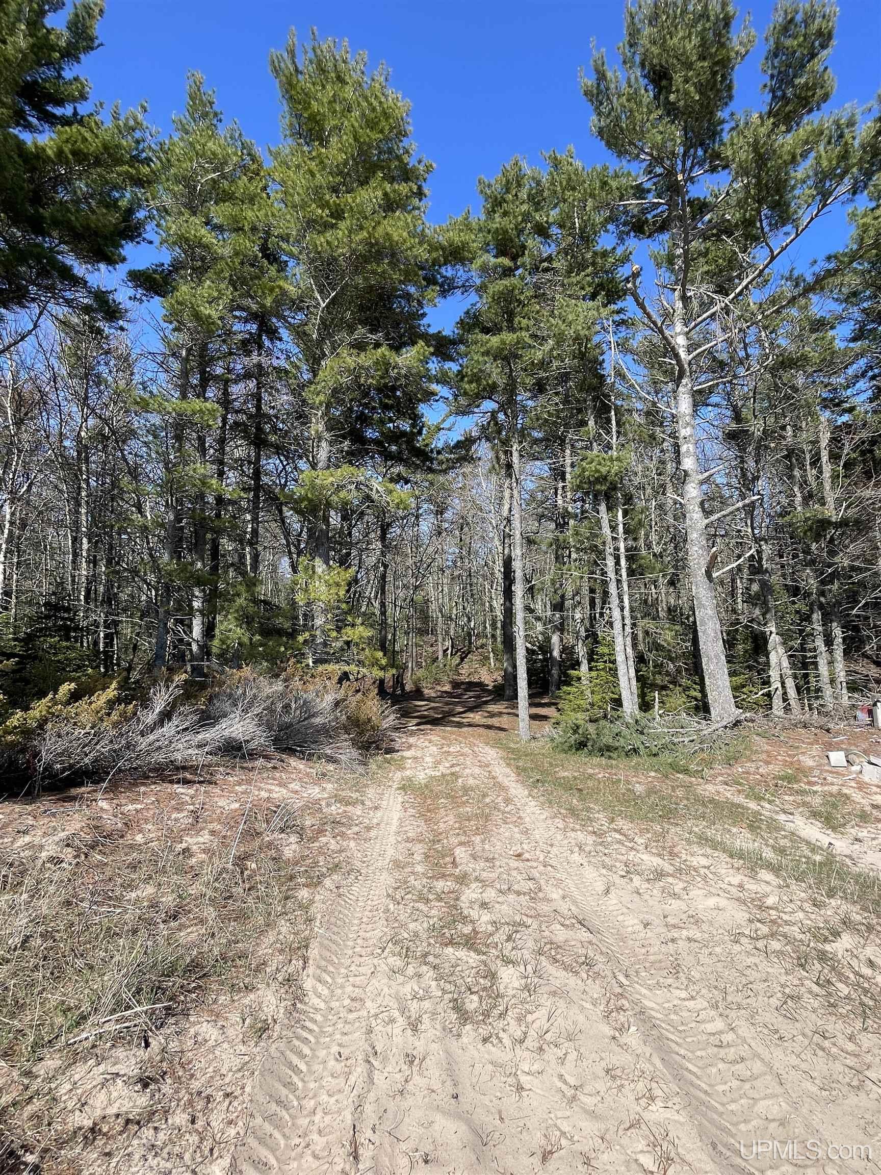 4264 FF Top O' The Lake Road, Gulliver, MI, 49840