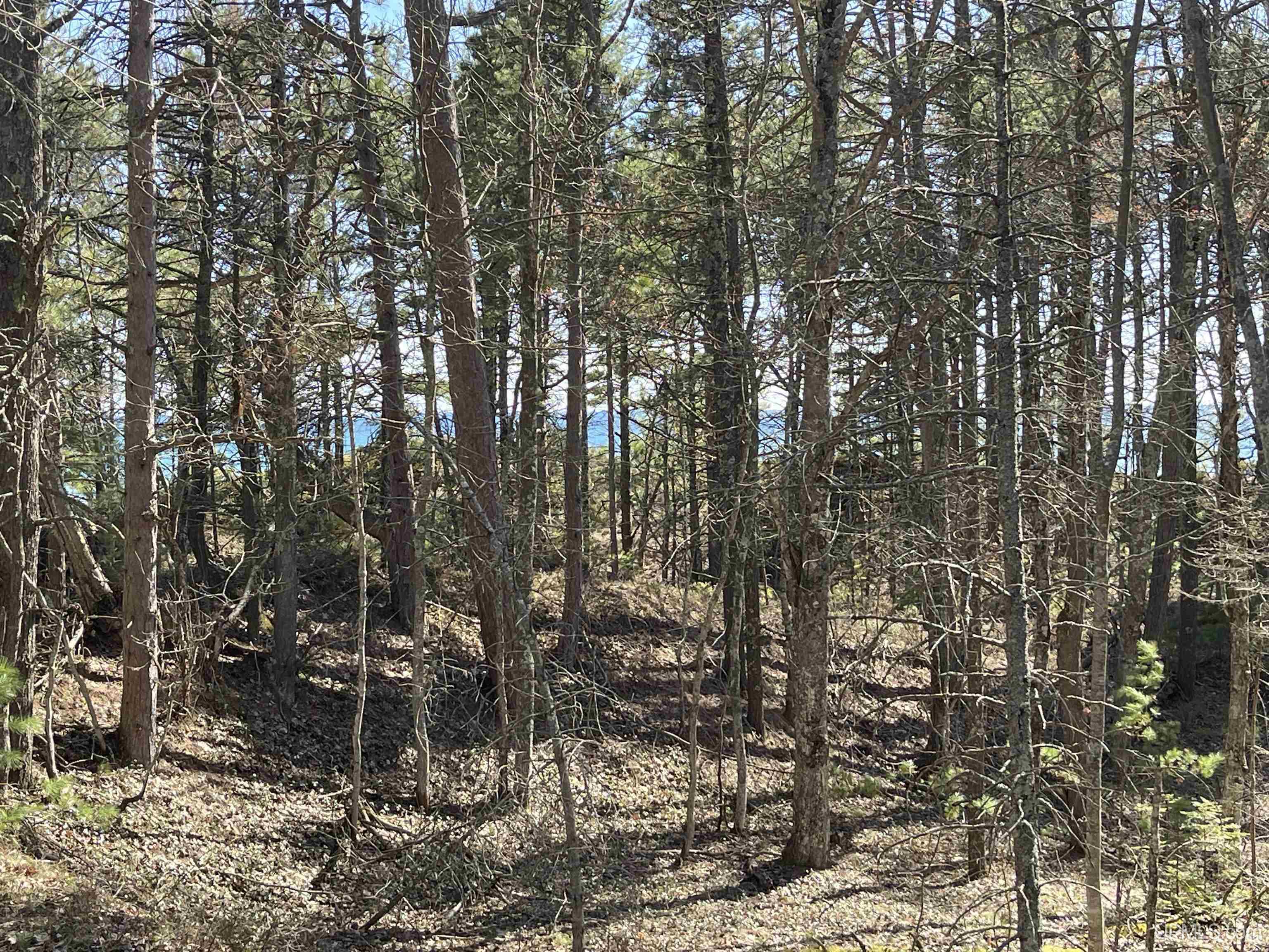 4264 FF Top O' The Lake Road, Gulliver, MI, 49840