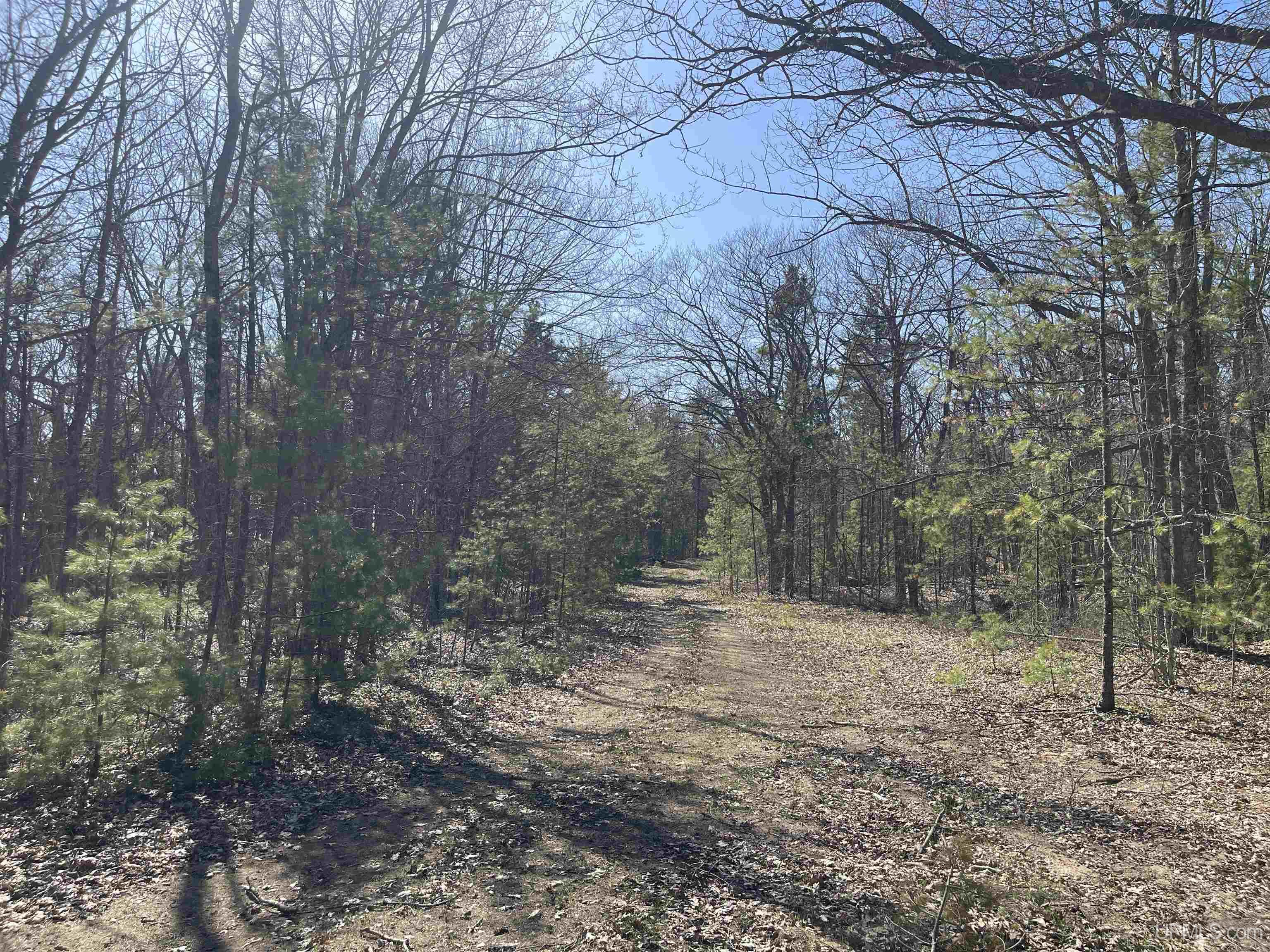 4264 FF Top O' The Lake Road, Gulliver, MI, 49840