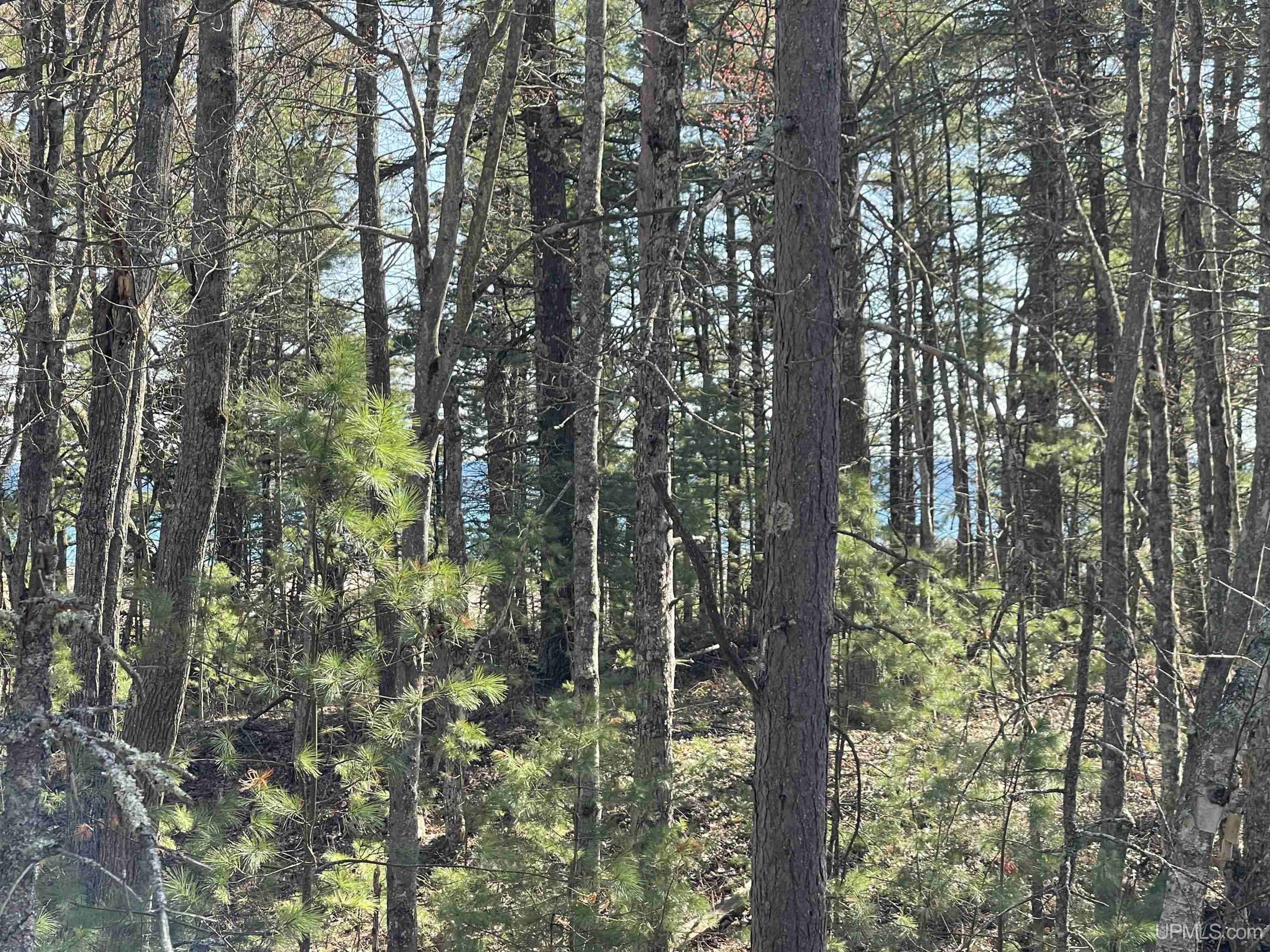 4264 FF Top O' The Lake Road, Gulliver, MI, 49840