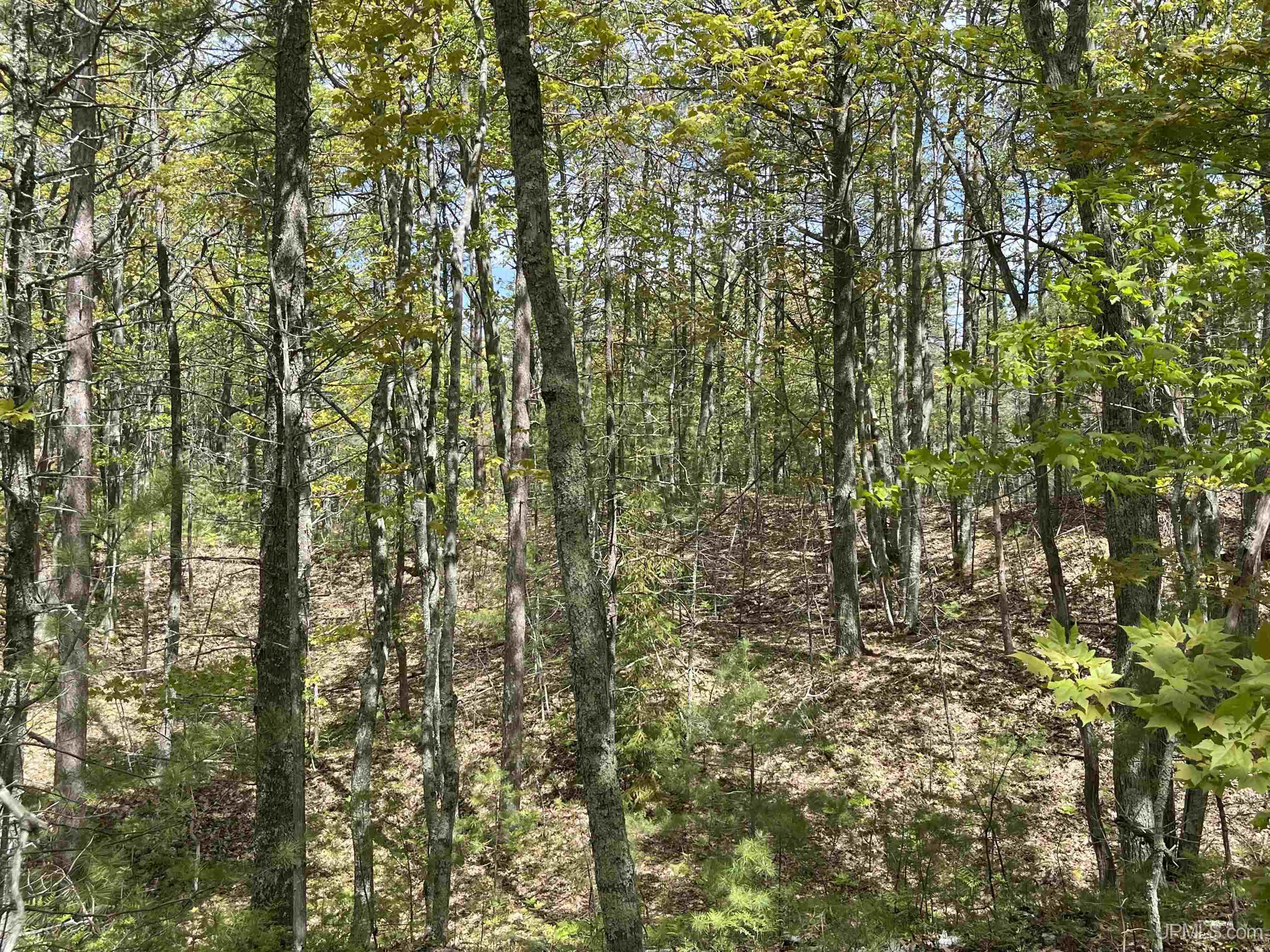 4264 FF Top O' The Lake Road, Gulliver, MI, 49840