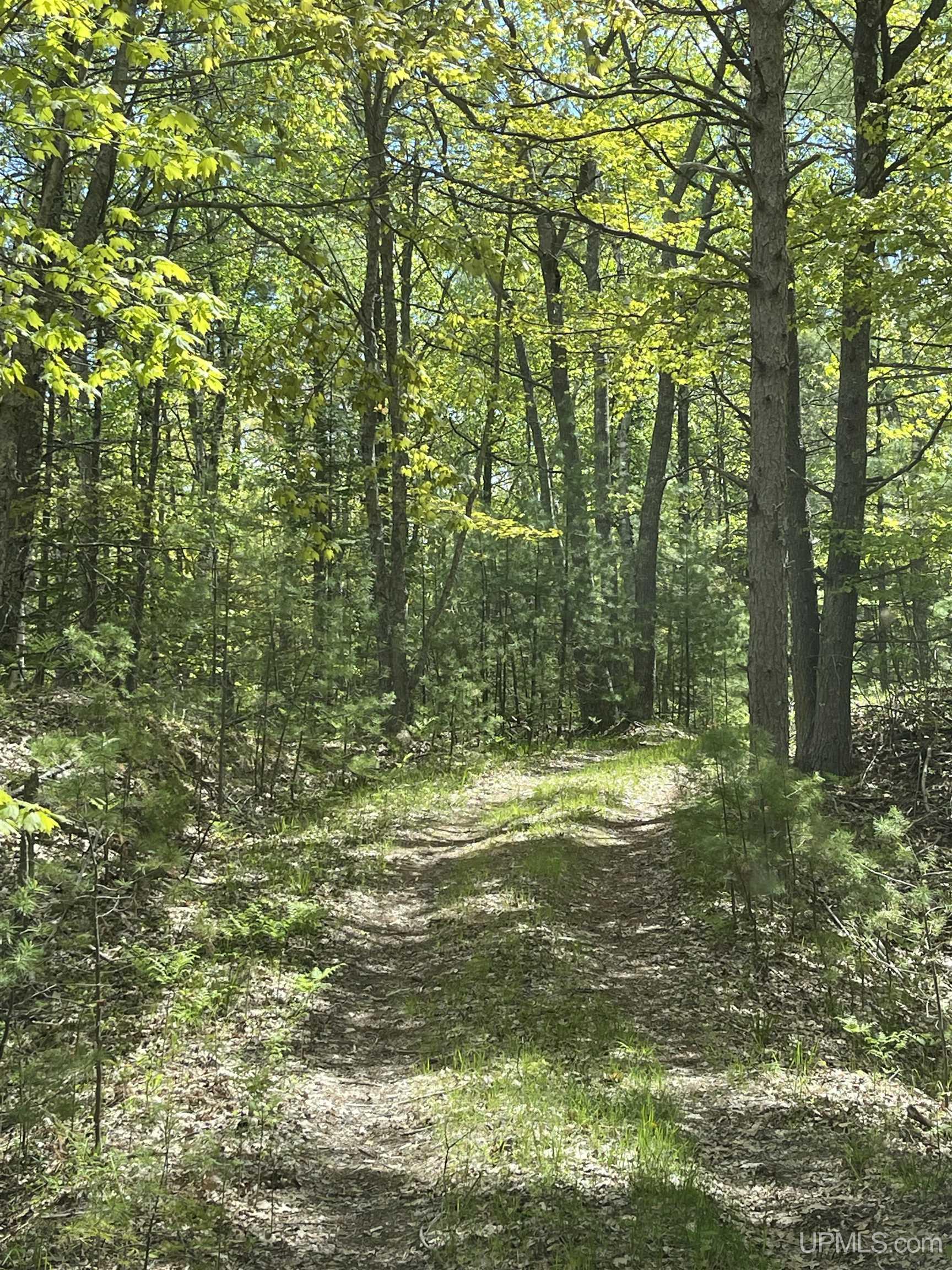 4264 FF Top O' The Lake Road, Gulliver, MI, 49840