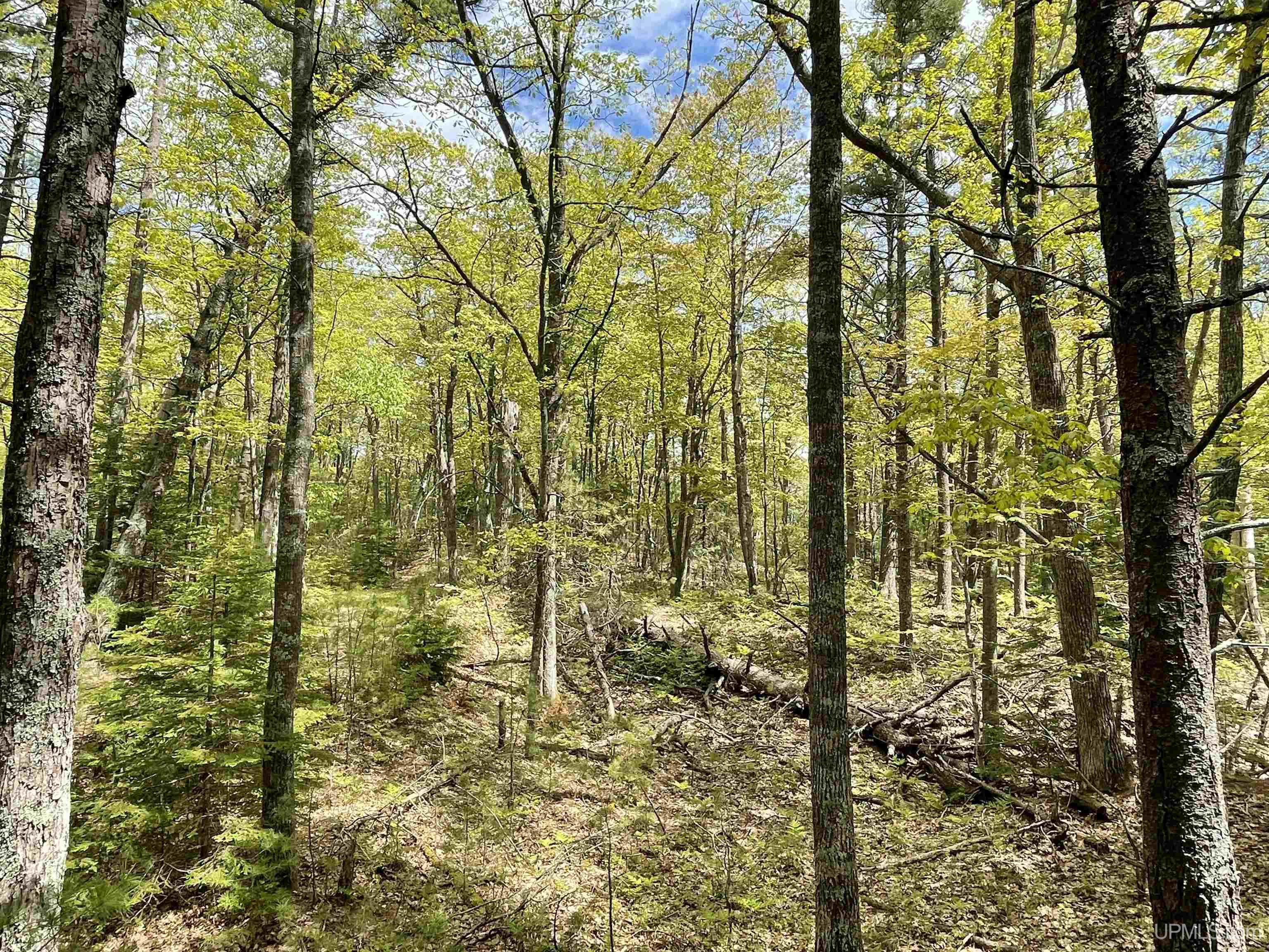 4264 FF Top O' The Lake Road, Gulliver, MI, 49840