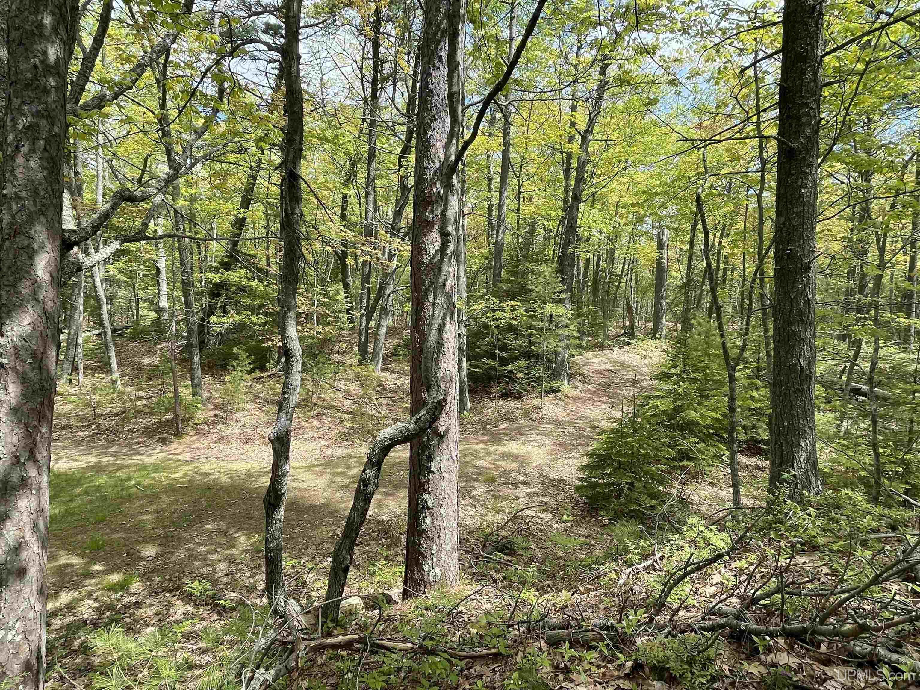 4264 FF Top O' The Lake Road, Gulliver, MI, 49840