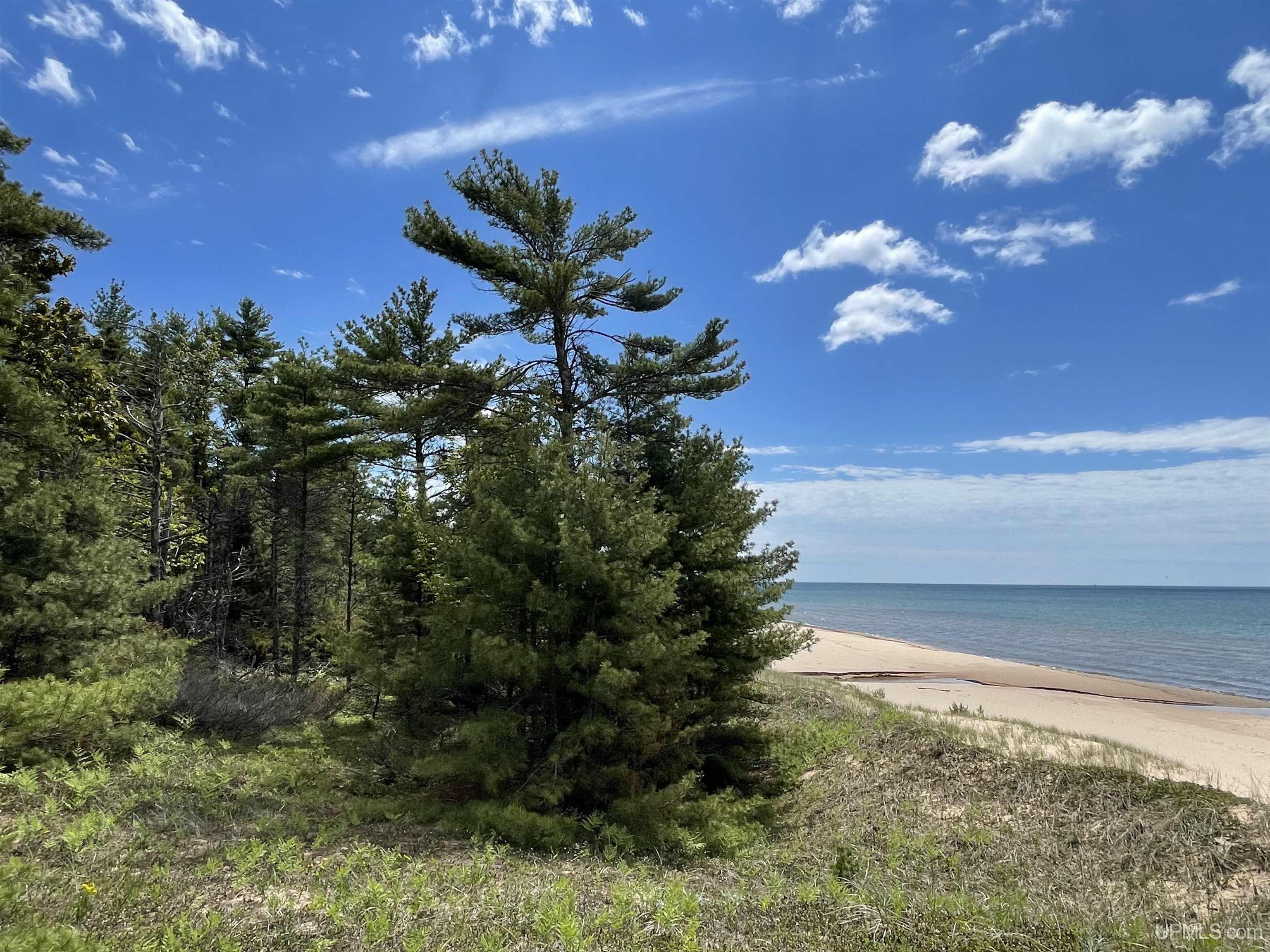 4264 FF Top O' The Lake Road, Gulliver, MI, 49840