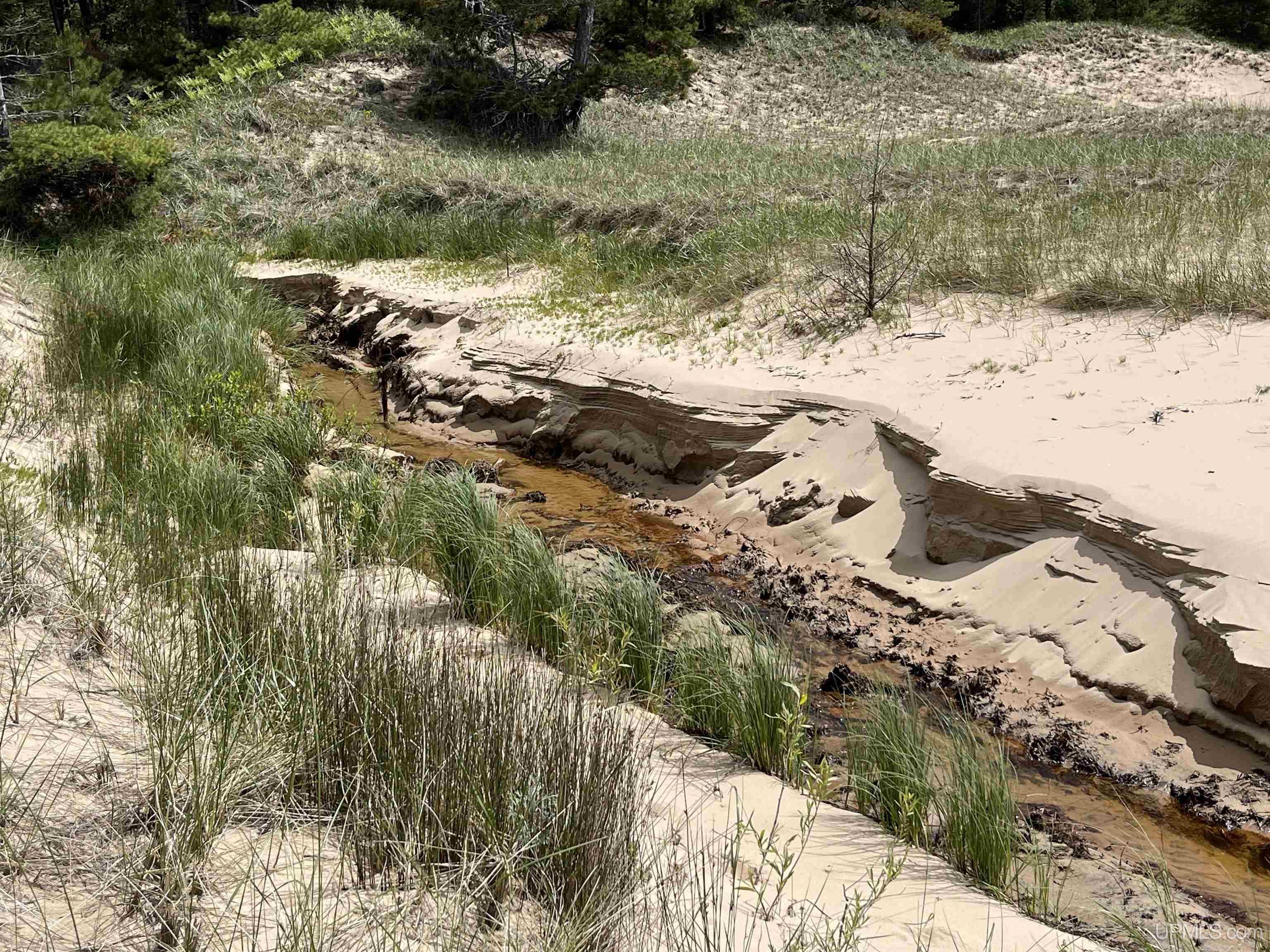 4264 FF Top O' The Lake Road, Gulliver, MI, 49840