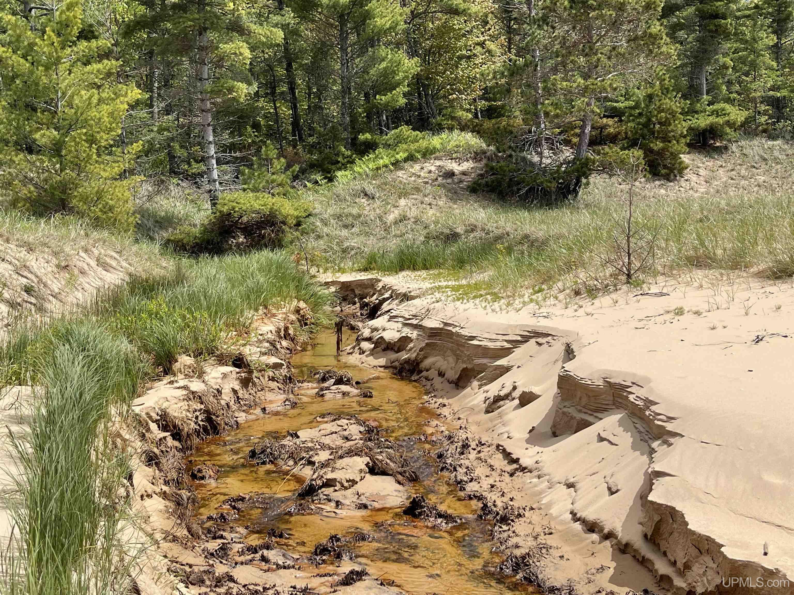 4264 FF Top O' The Lake Road, Gulliver, MI, 49840