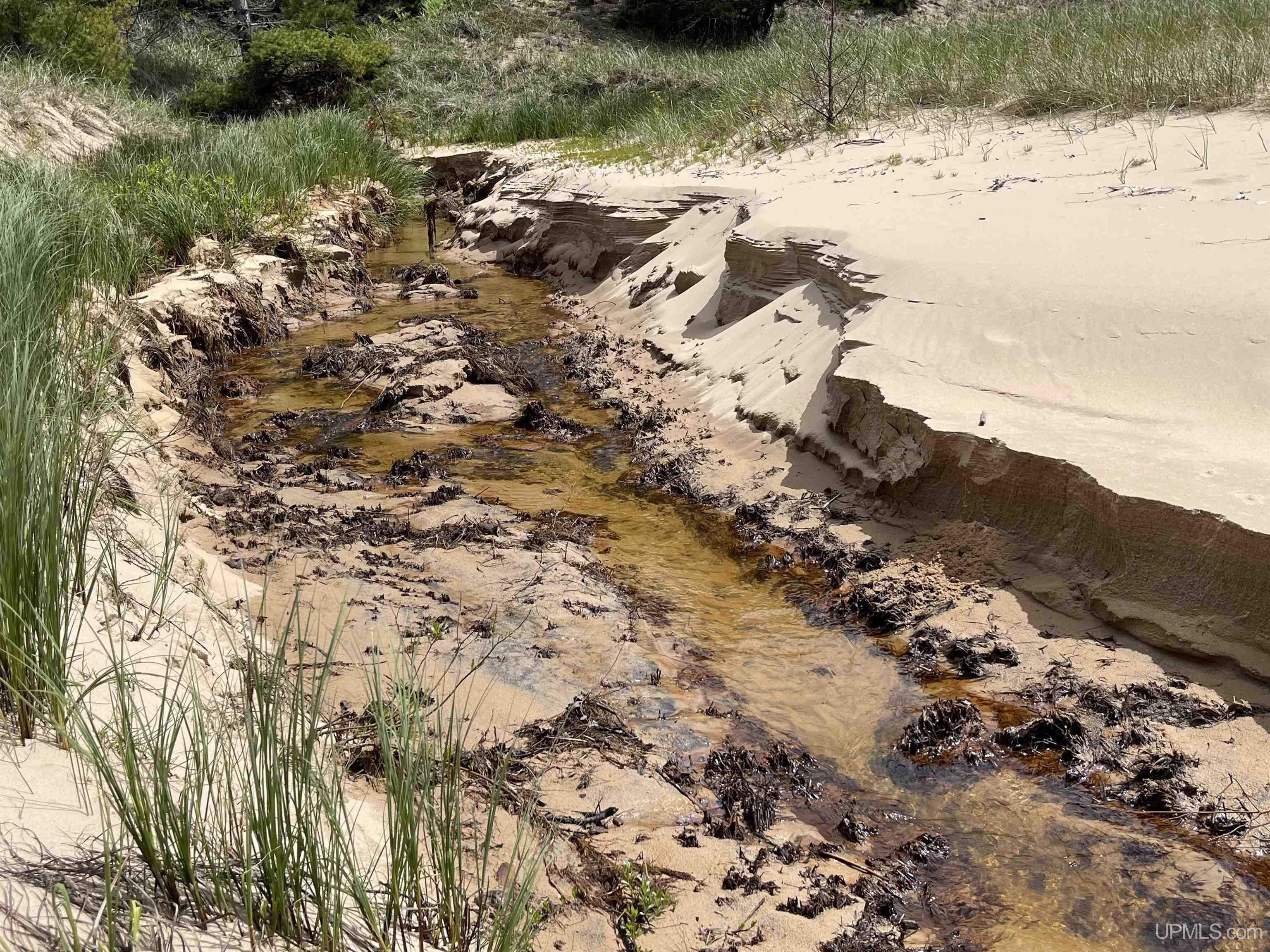 4264 FF Top O' The Lake Road, Gulliver, MI, 49840