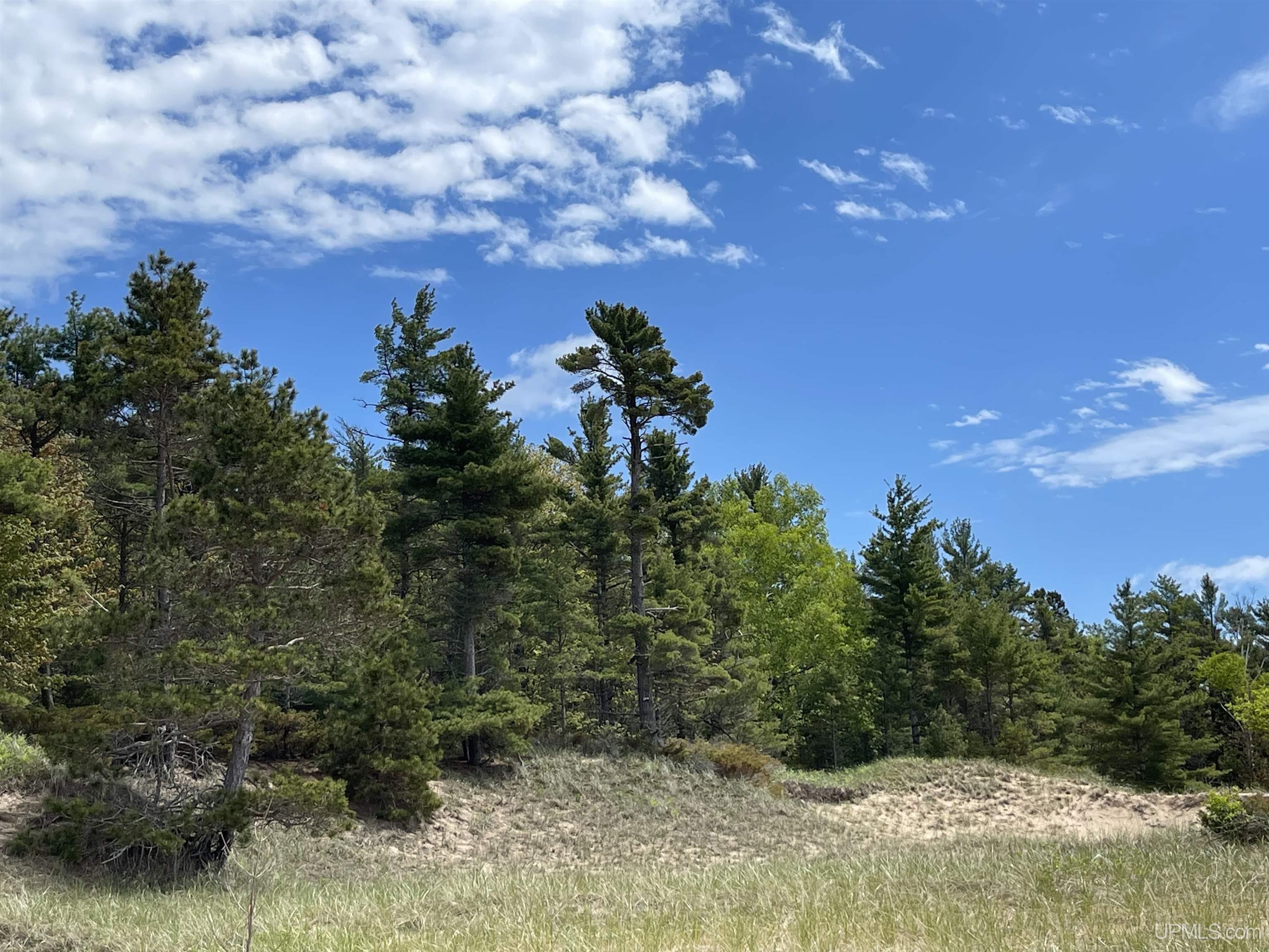 4264 FF Top O' The Lake Road, Gulliver, MI, 49840