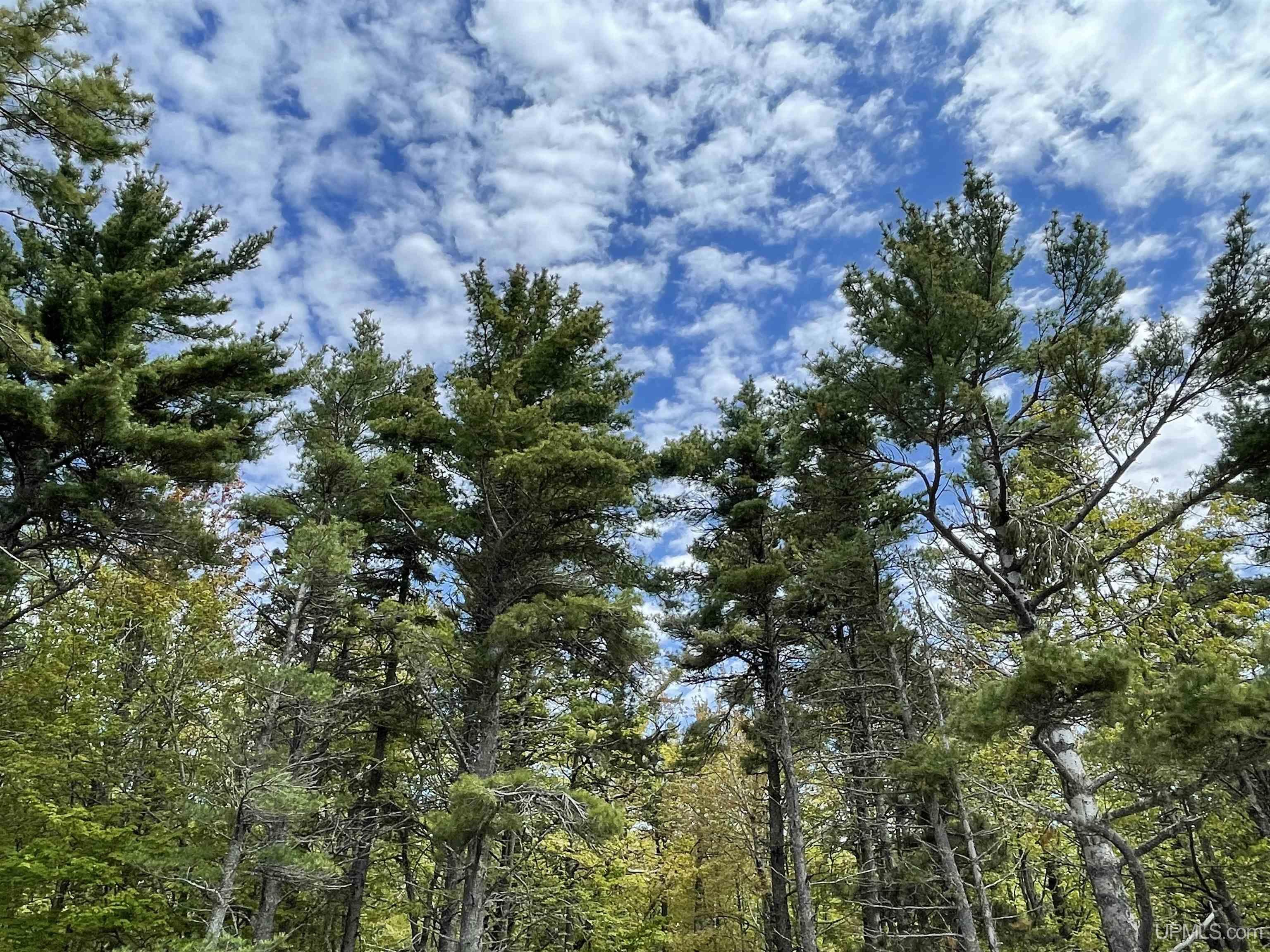 4264 FF Top O' The Lake Road, Gulliver, MI, 49840