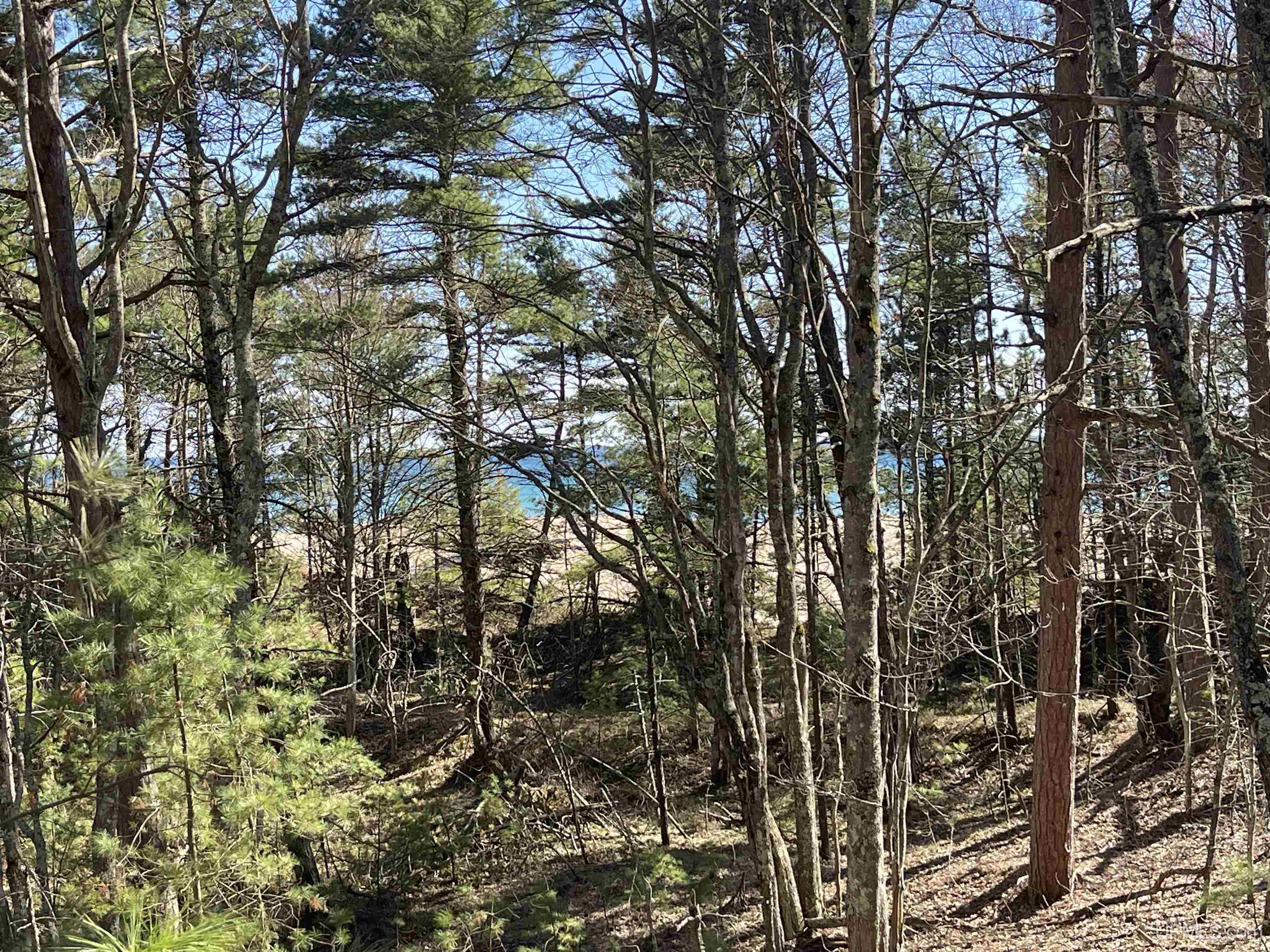 1396 FF Top O' The Lake Road, Gulliver, MI, 49840