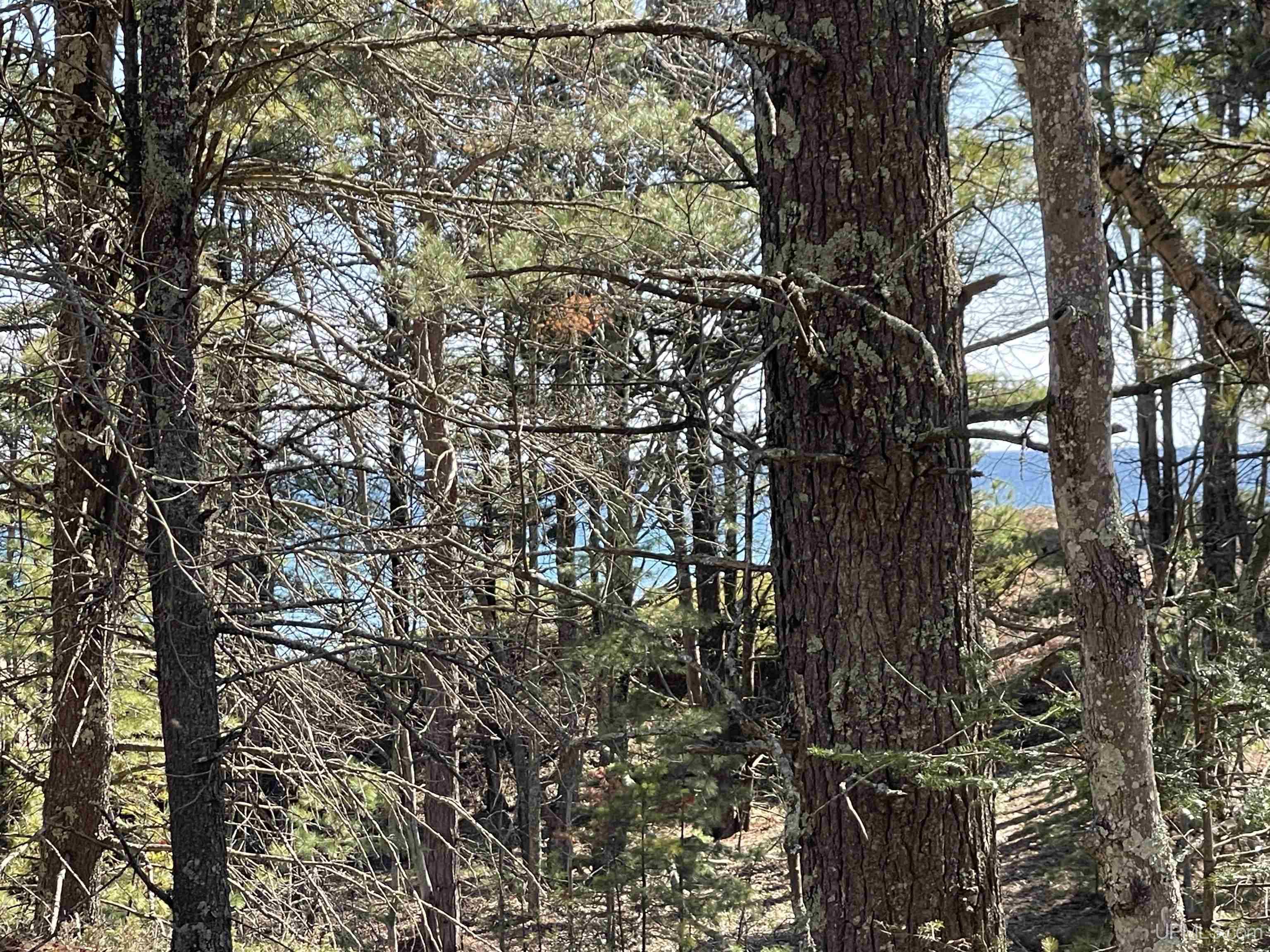 1396 FF Top O' The Lake Road, Gulliver, MI, 49840