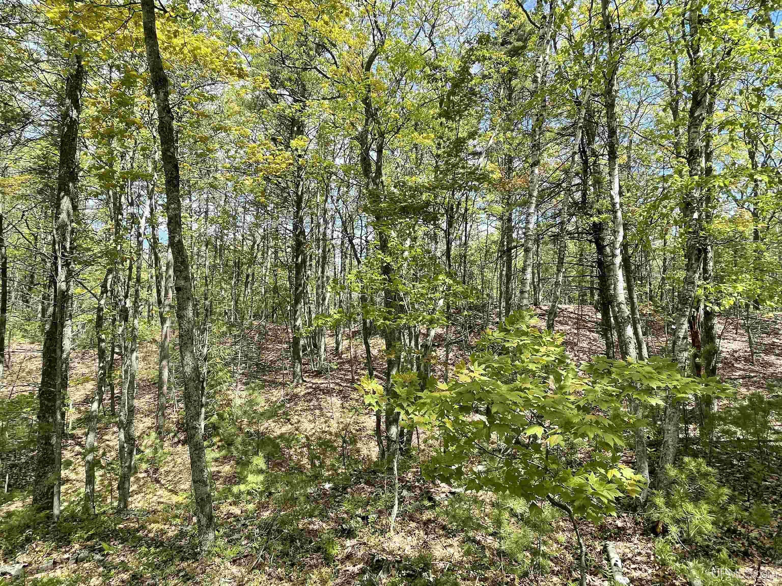 1396 FF Top O' The Lake Road, Gulliver, MI, 49840