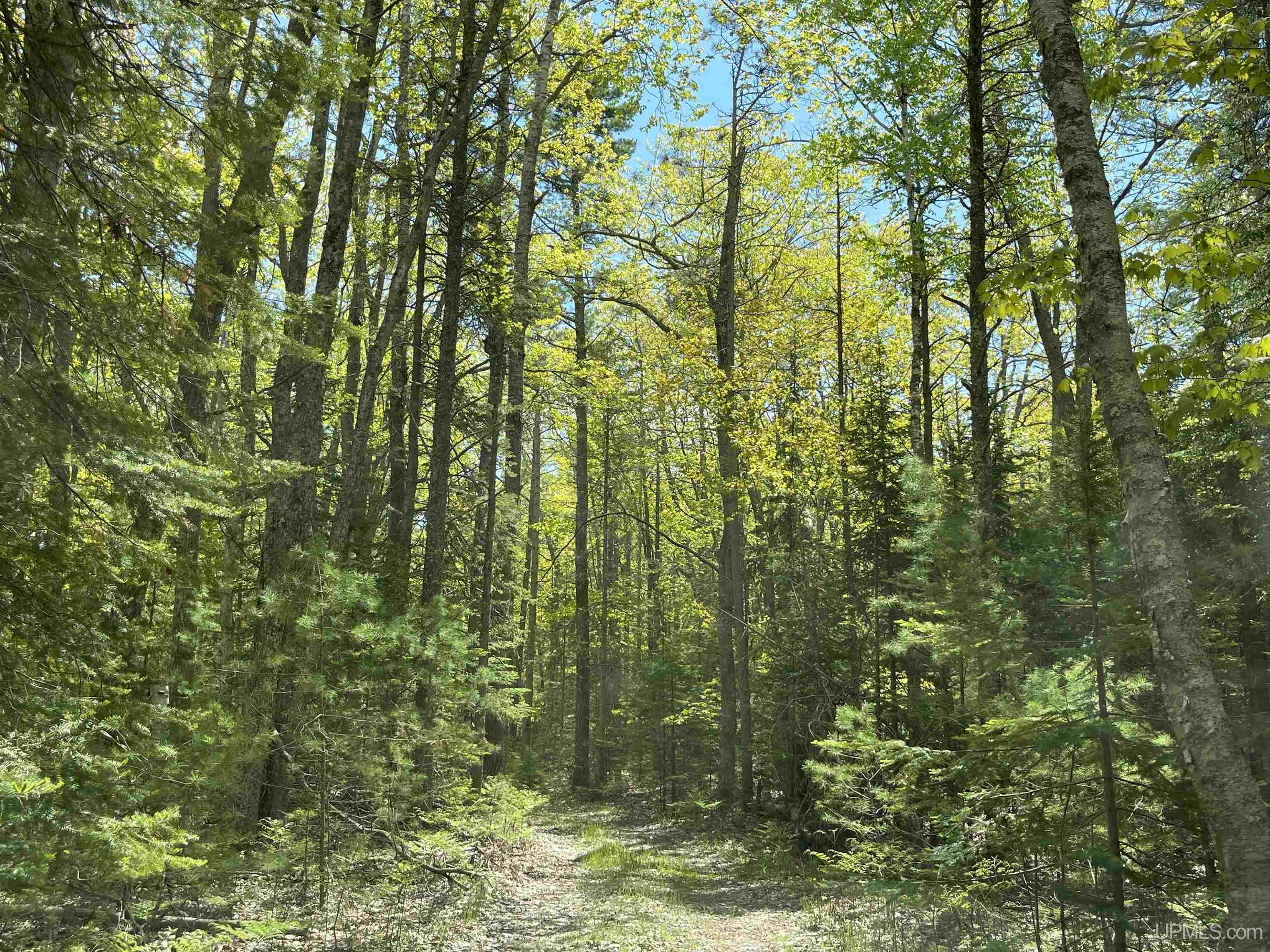 1396 FF Top O' The Lake Road, Gulliver, MI, 49840