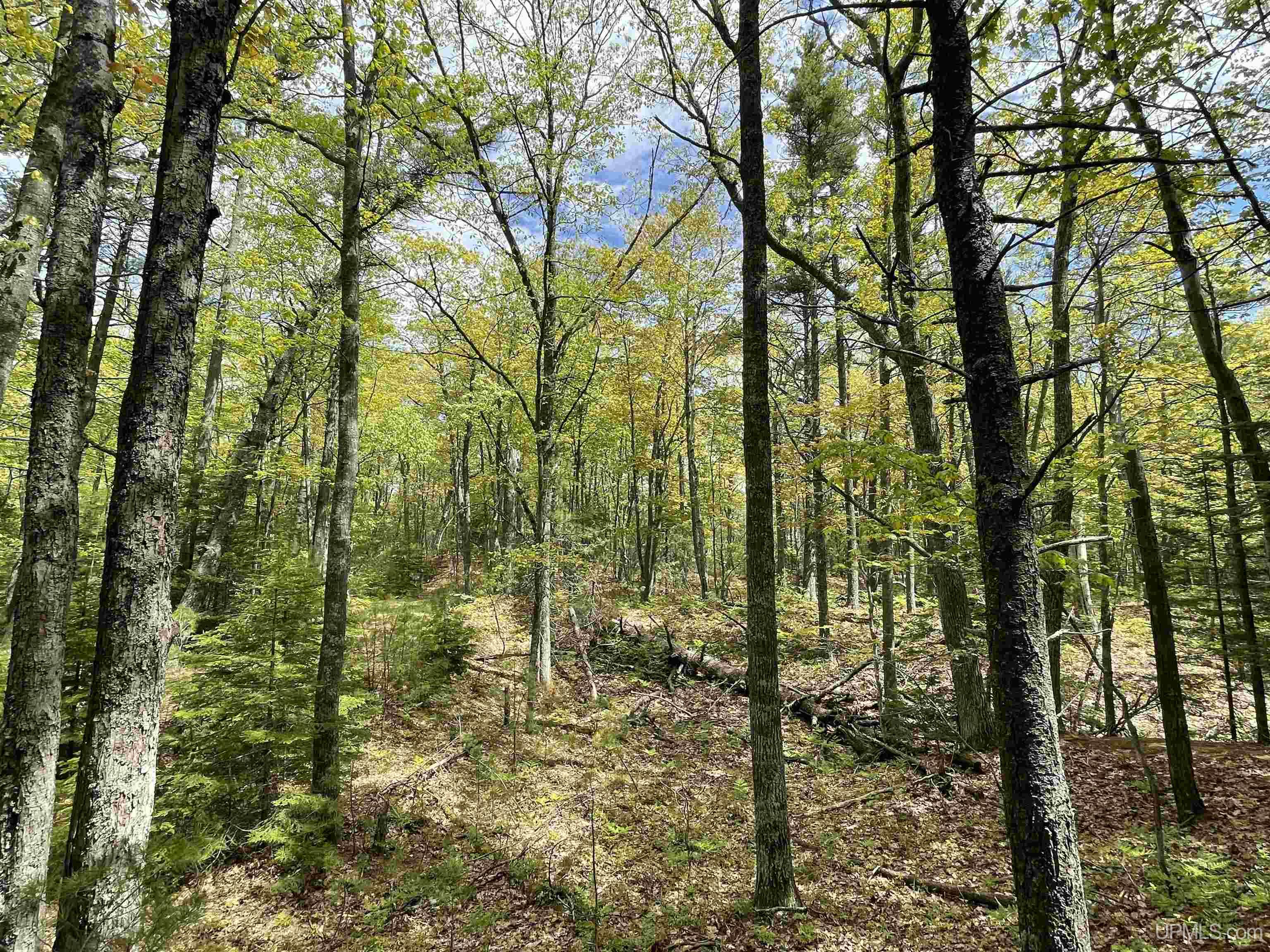 1396 FF Top O' The Lake Road, Gulliver, MI, 49840