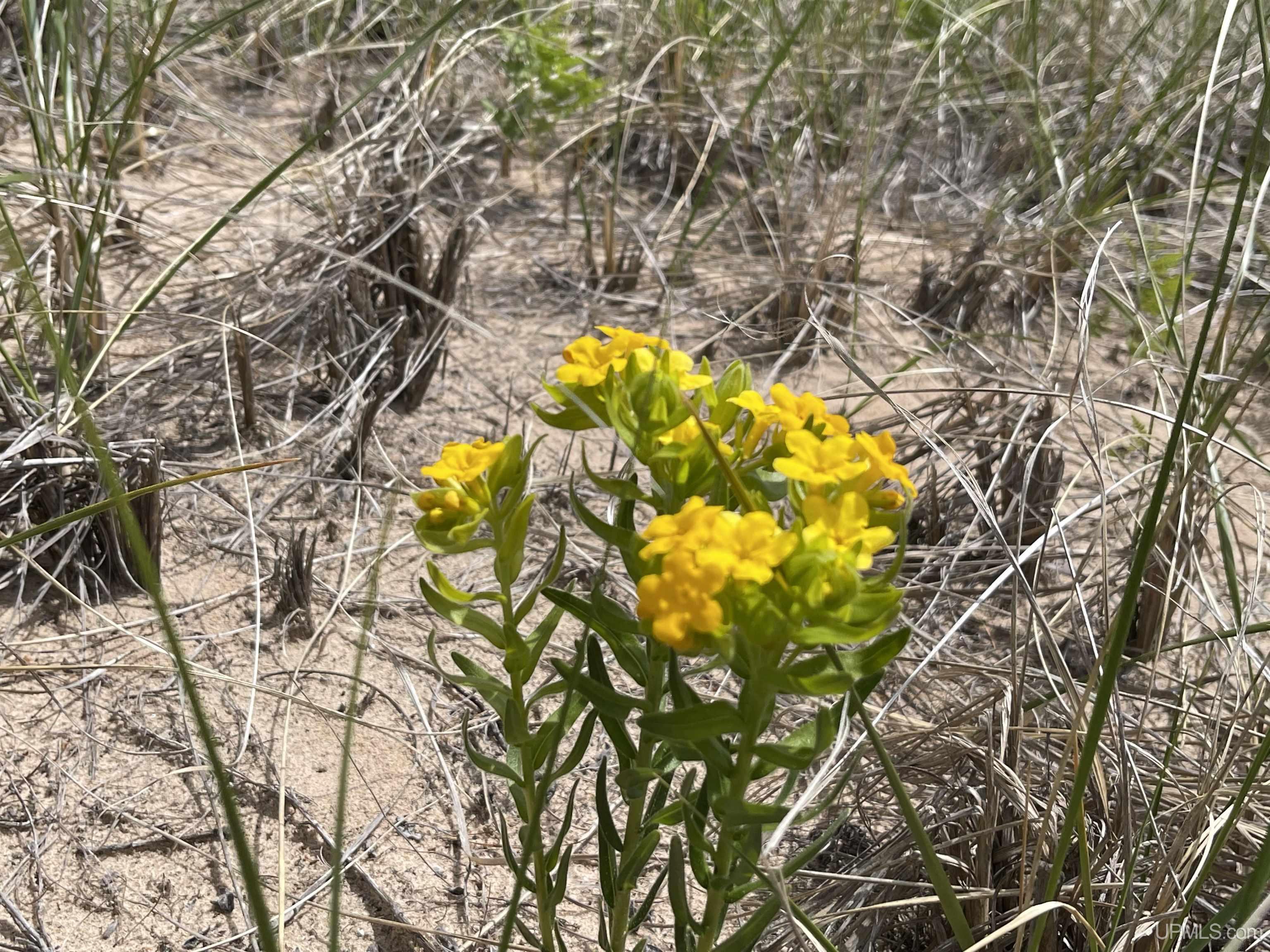 1396 FF Top O' The Lake Road, Gulliver, MI, 49840