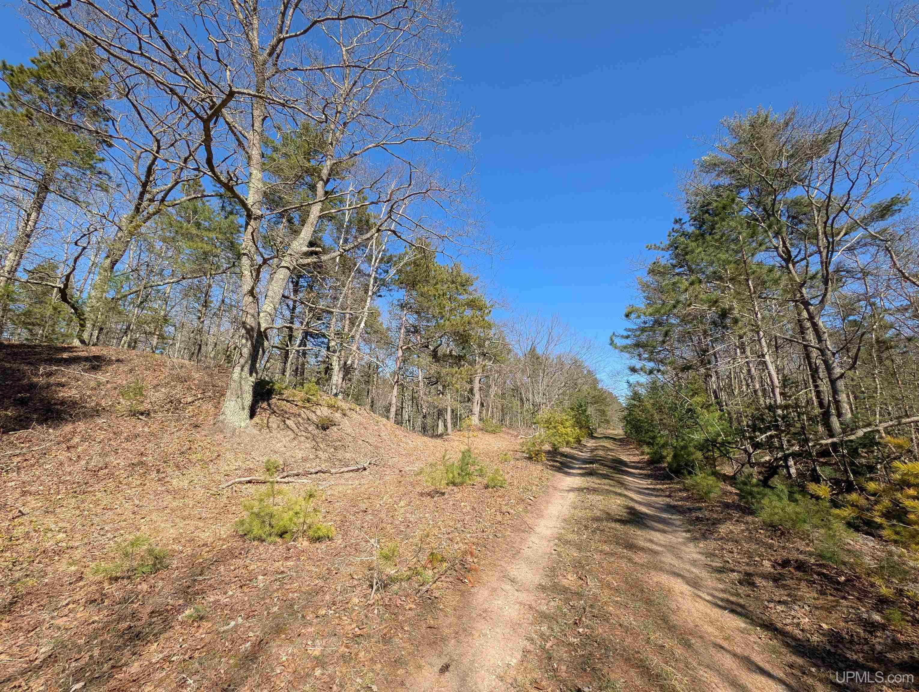 463 FF Top O' The Lake Road, Gulliver, MI, 49840