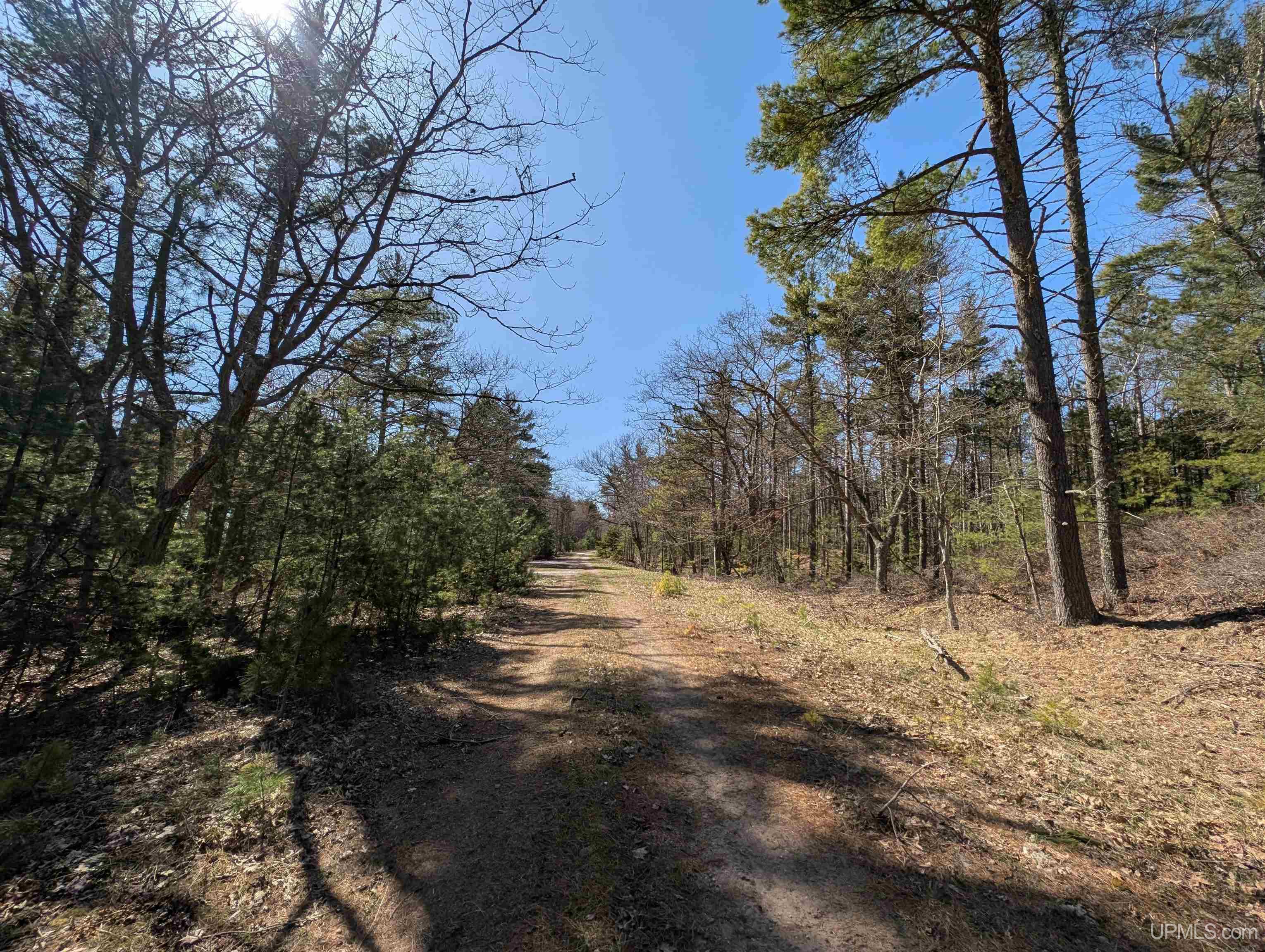 463 FF Top O' The Lake Road, Gulliver, MI, 49840