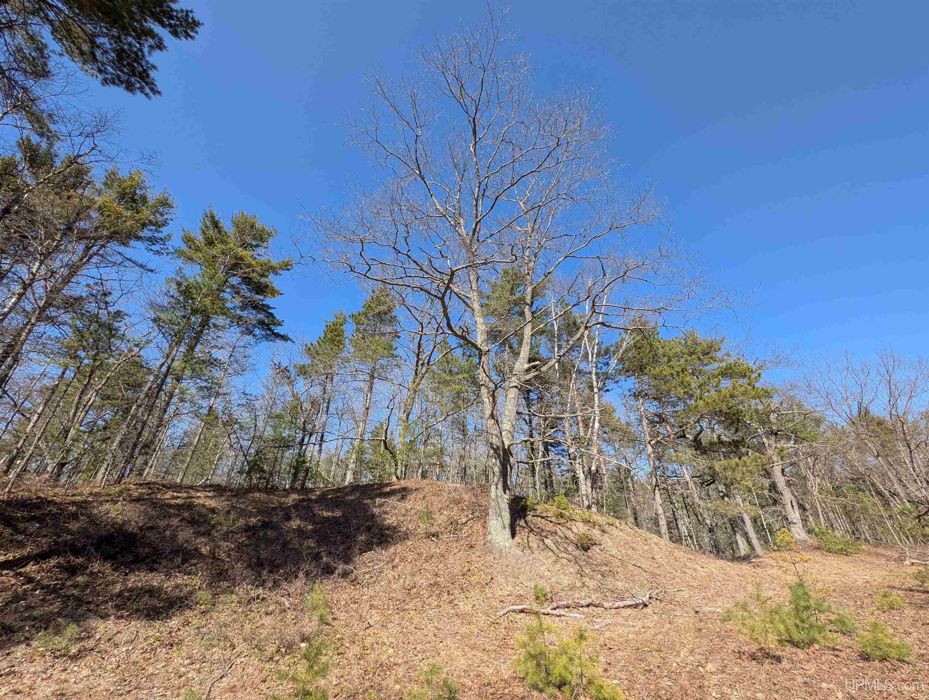 463 FF Top O' The Lake Road, Gulliver, MI, 49840