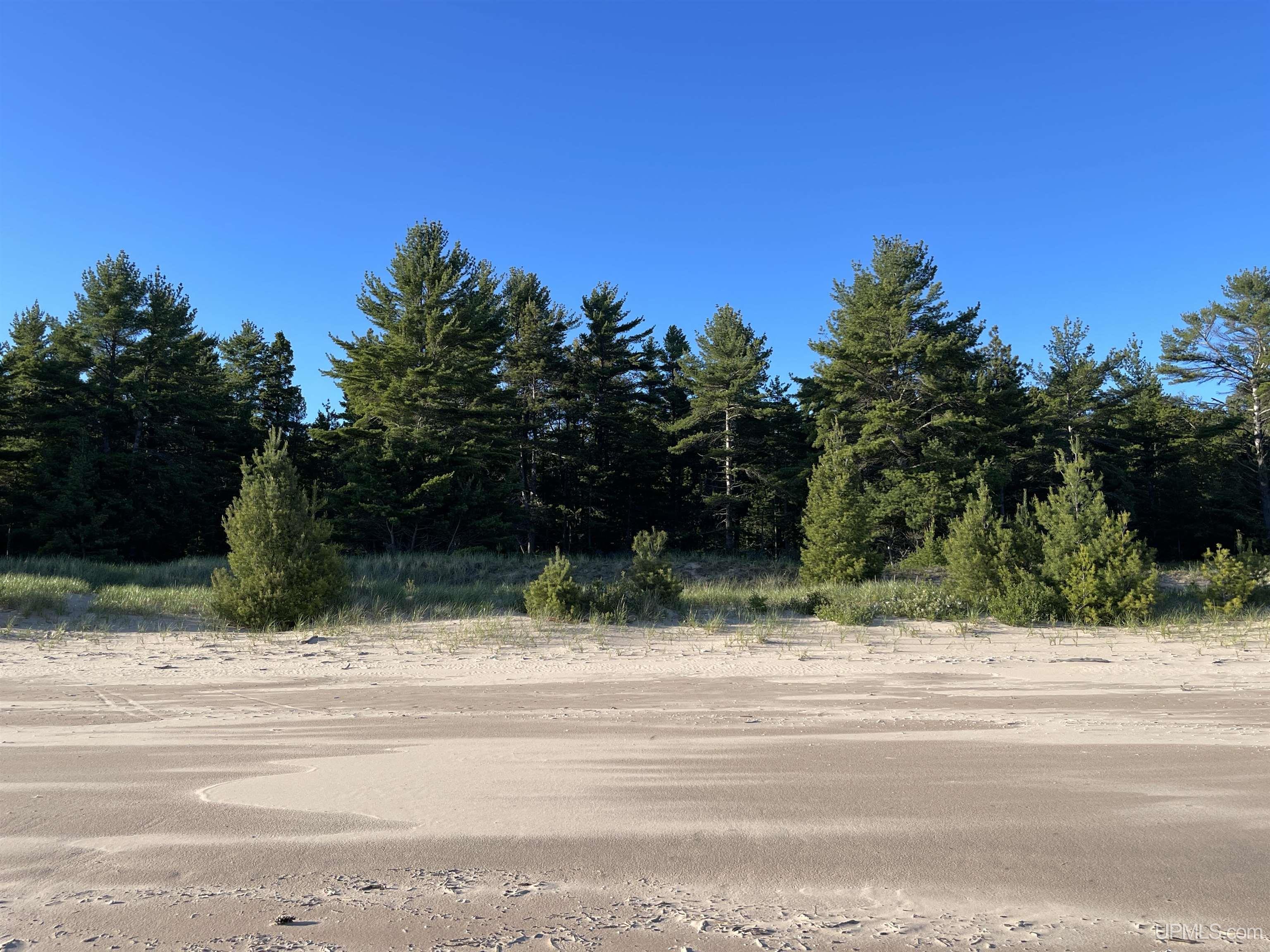 463 FF Top O' The Lake Road, Gulliver, MI, 49840