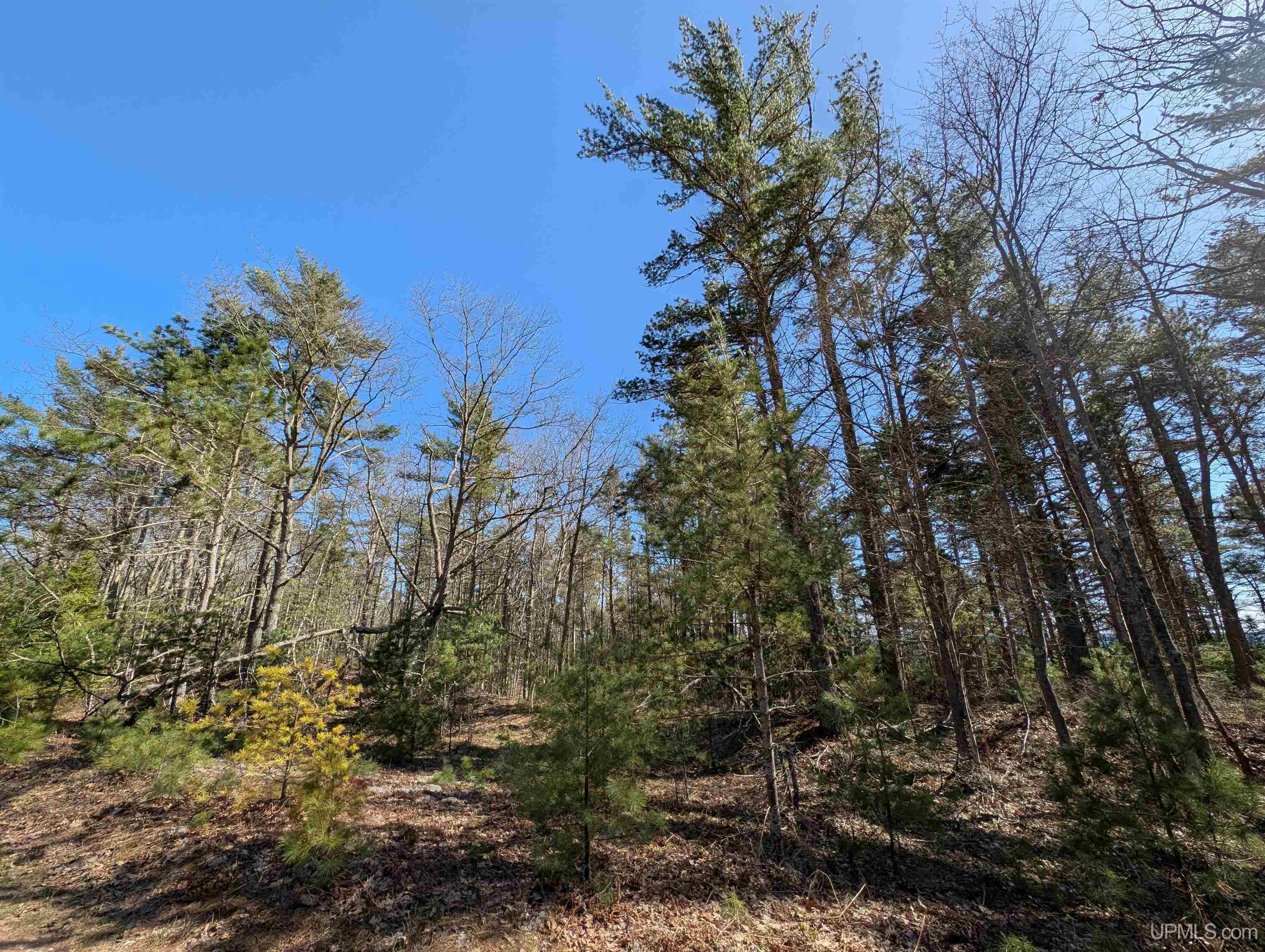 963 FF Top O' The Lake Road, Gulliver, MI, 49840