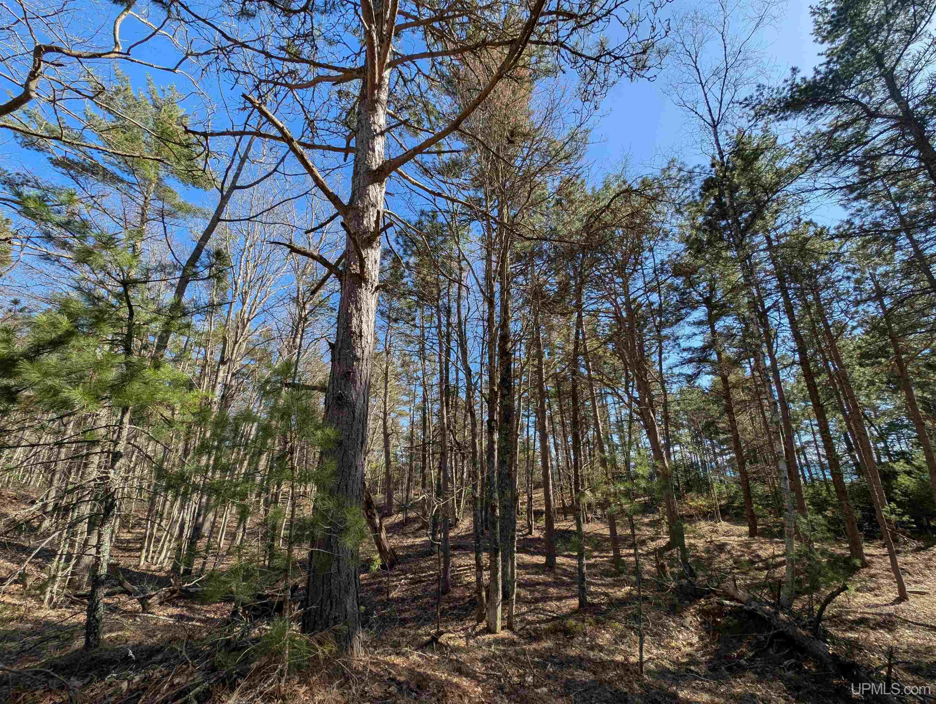 963 FF Top O' The Lake Road, Gulliver, MI, 49840