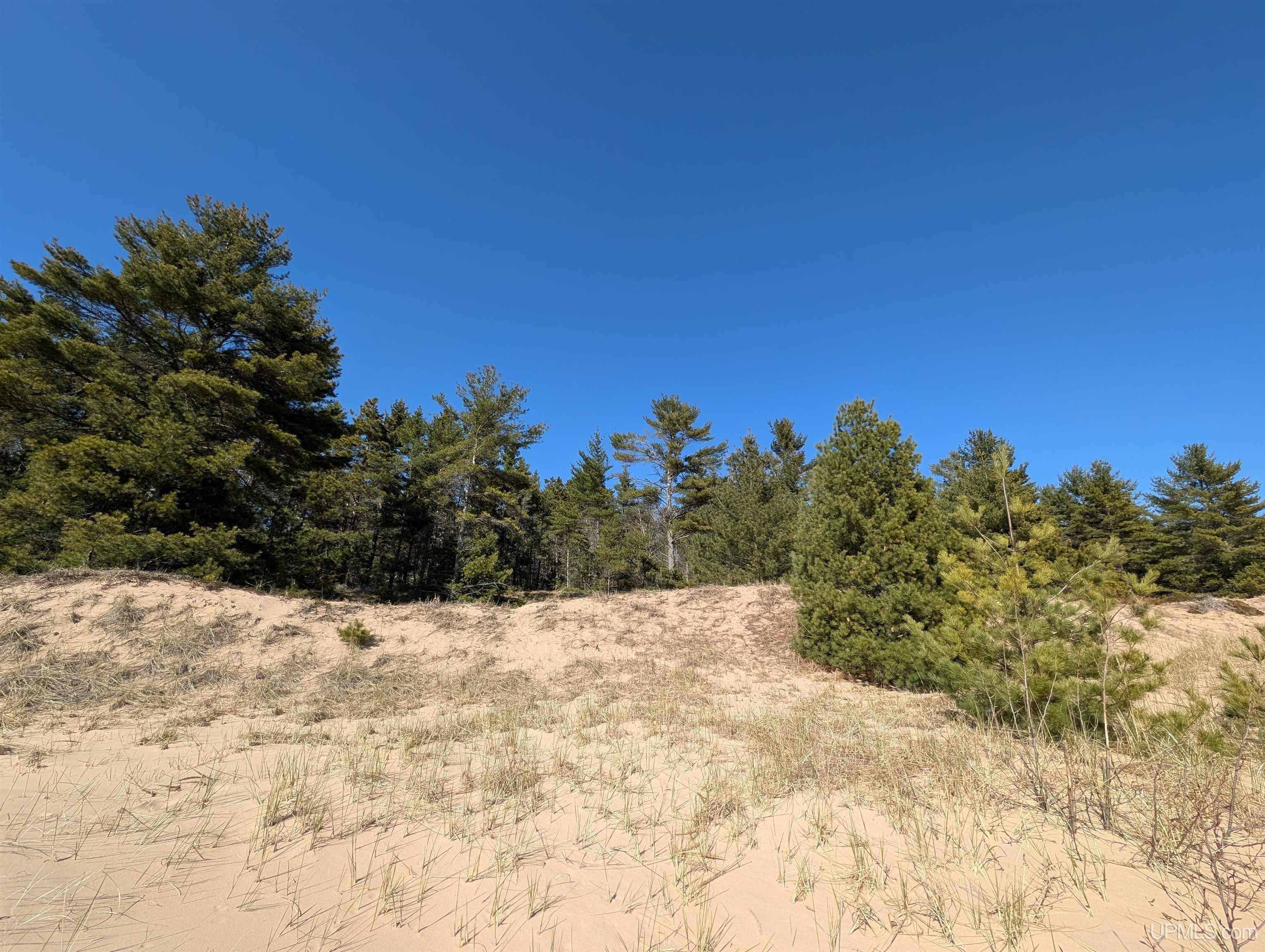 963 FF Top O' The Lake Road, Gulliver, MI, 49840