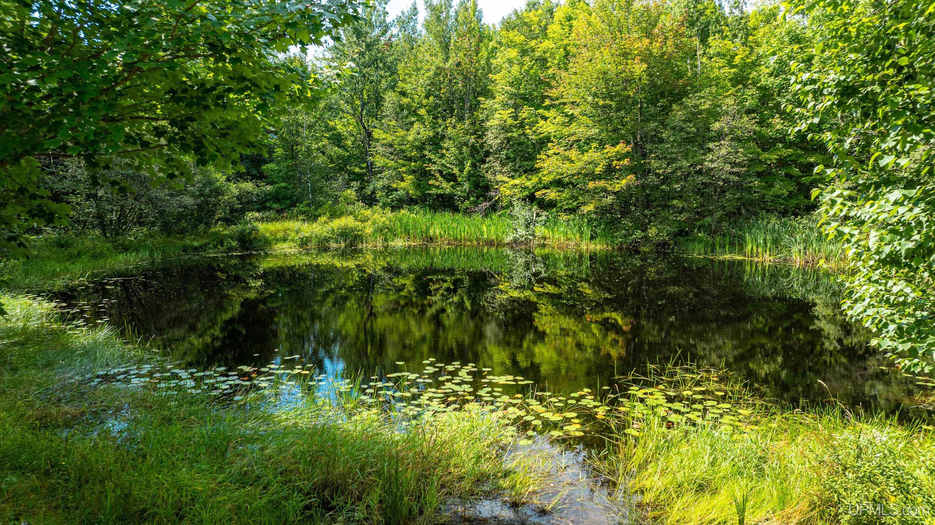 Homes for sale in Hancock, MI | 24411 Upper Point Mills Rd, Hancock, MI 49930 | MLS# 50200603