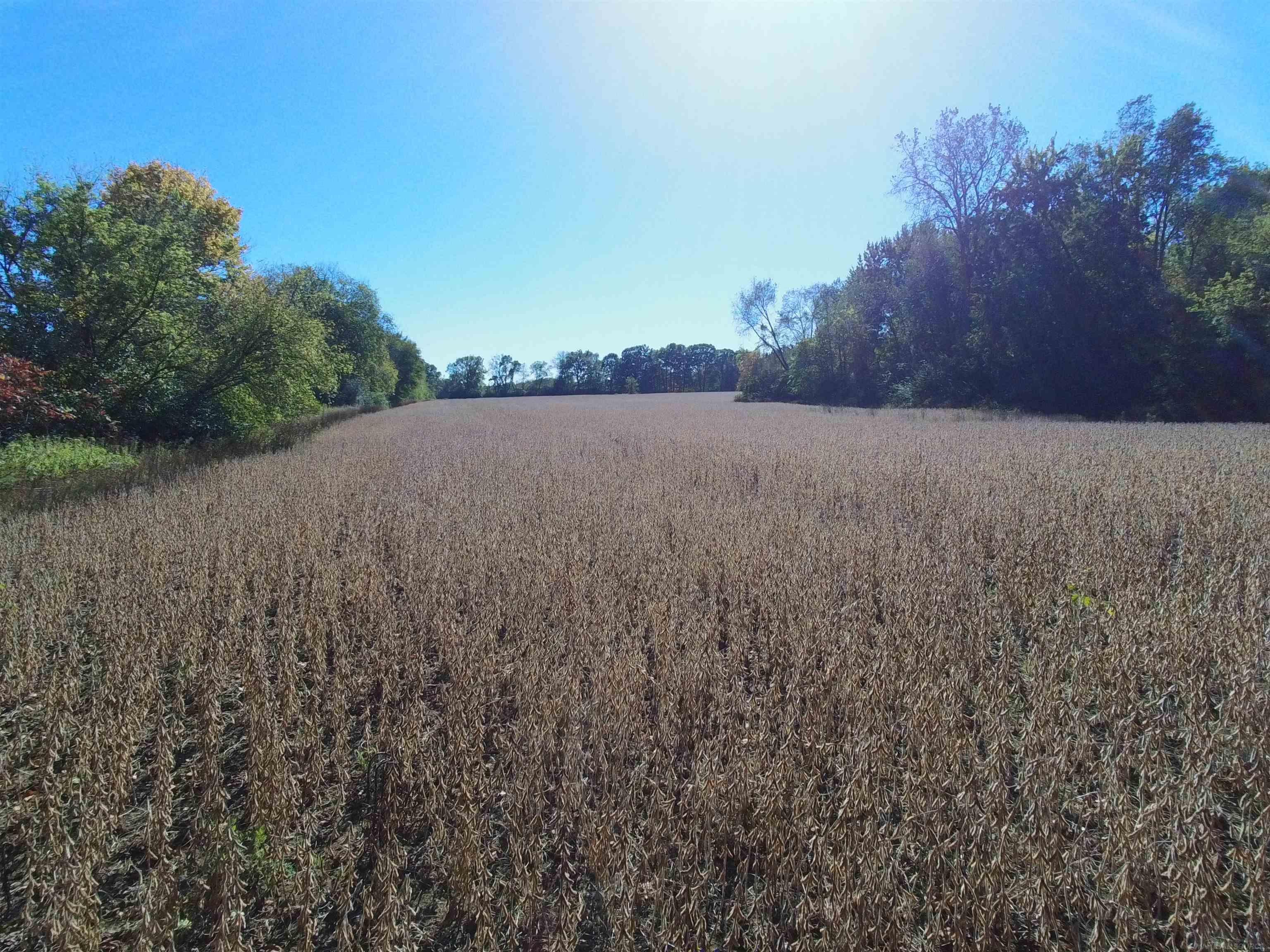 Homes for sale in Armada, MI | 73325 Coon Creek Rd, Armada, MI 48005 | MLS# 50200608