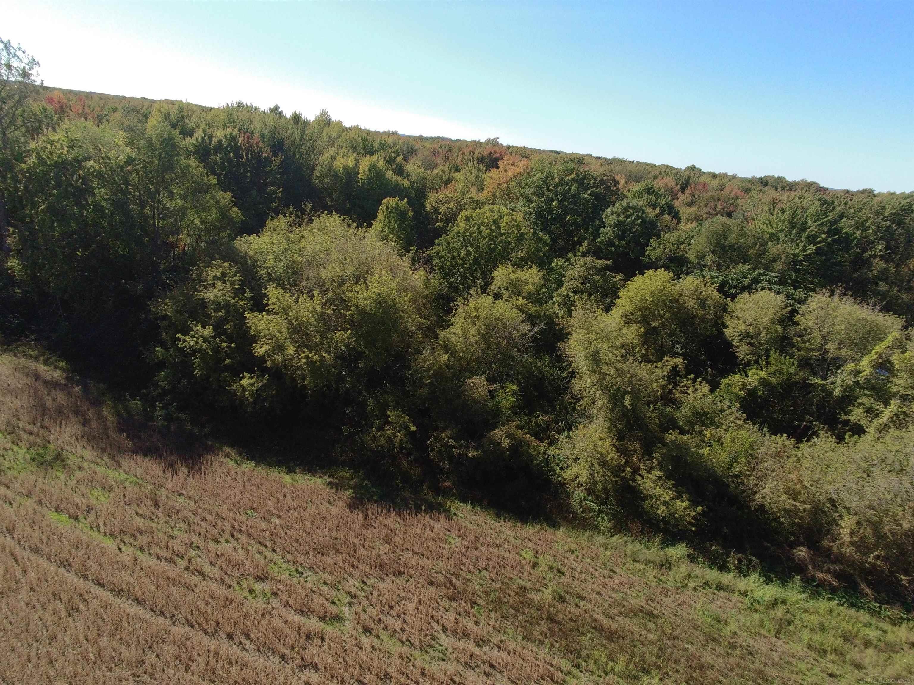 Homes for sale in Armada, MI | 73213 Coon Creek Rd, Armada, MI 48005 | MLS# 50200618