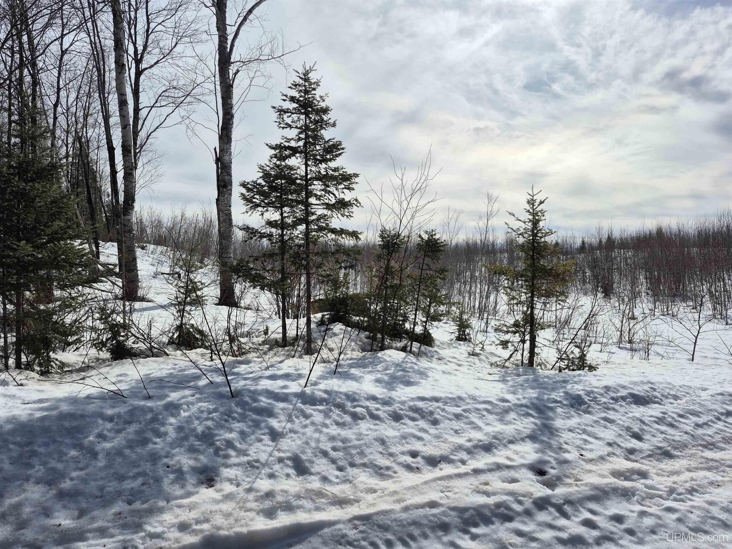 North 20 acres 18 Road photo 2