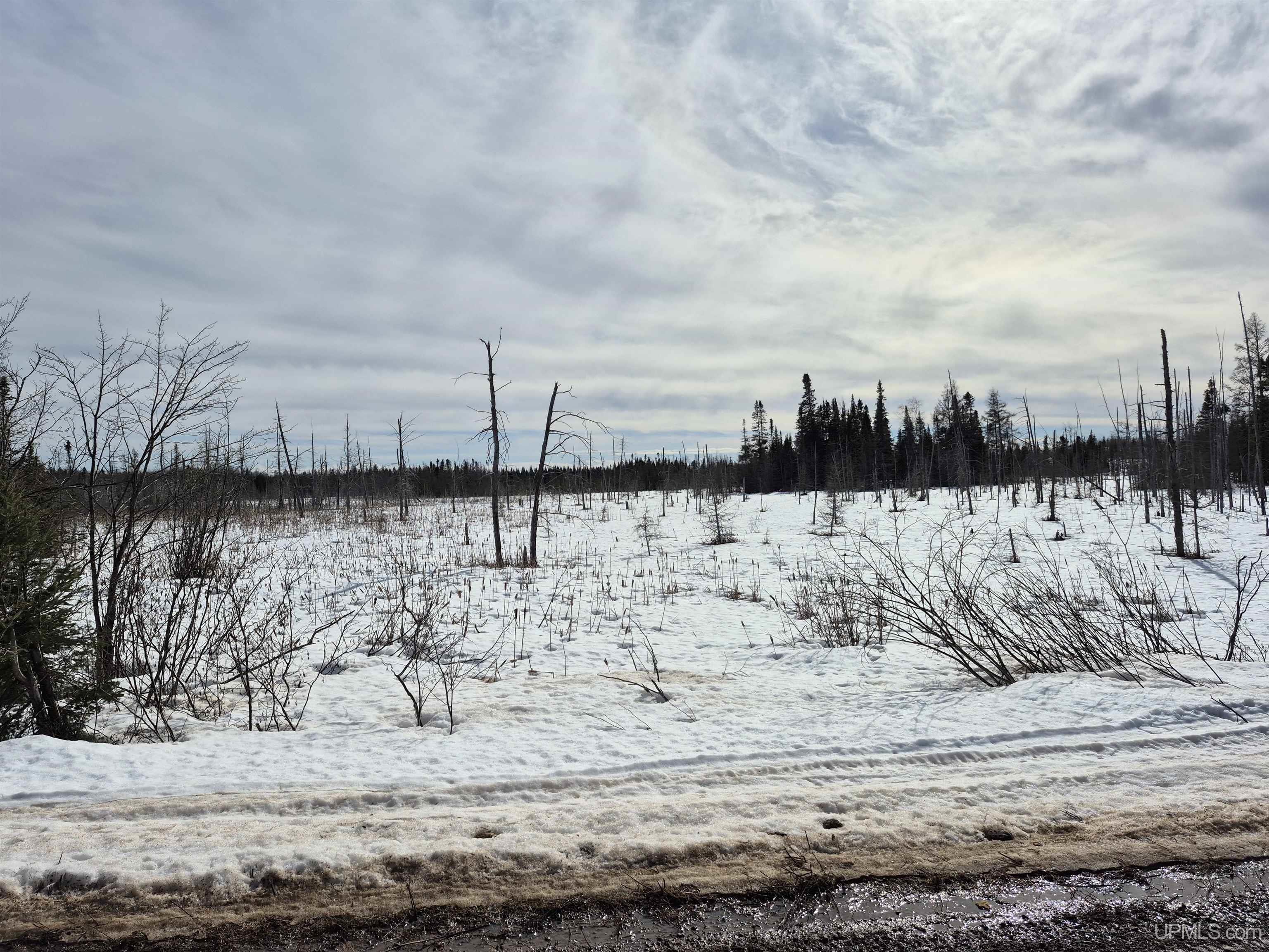 North 20 acres 18 Road photo 12