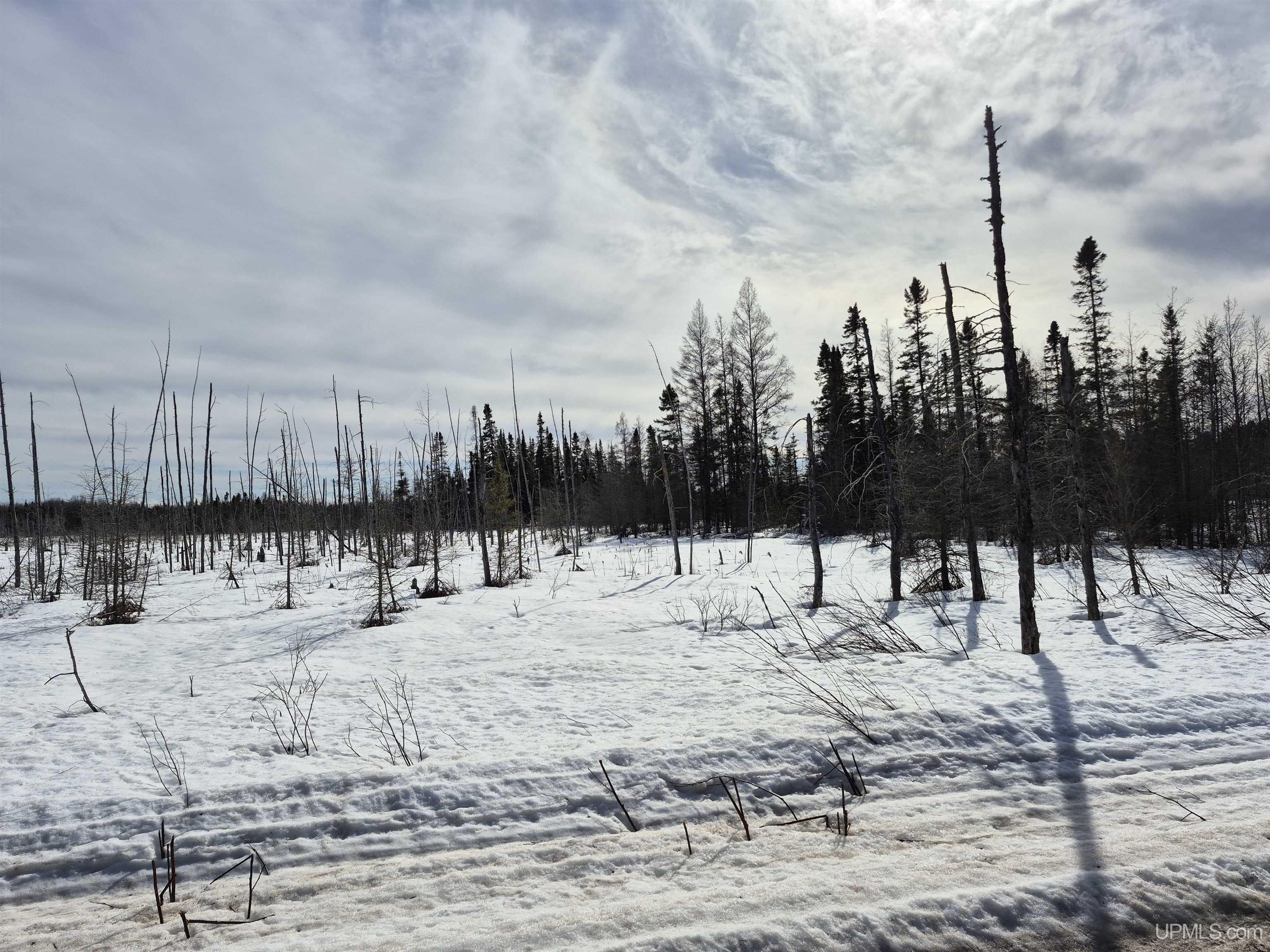 North 20 acres 18 Road photo 13