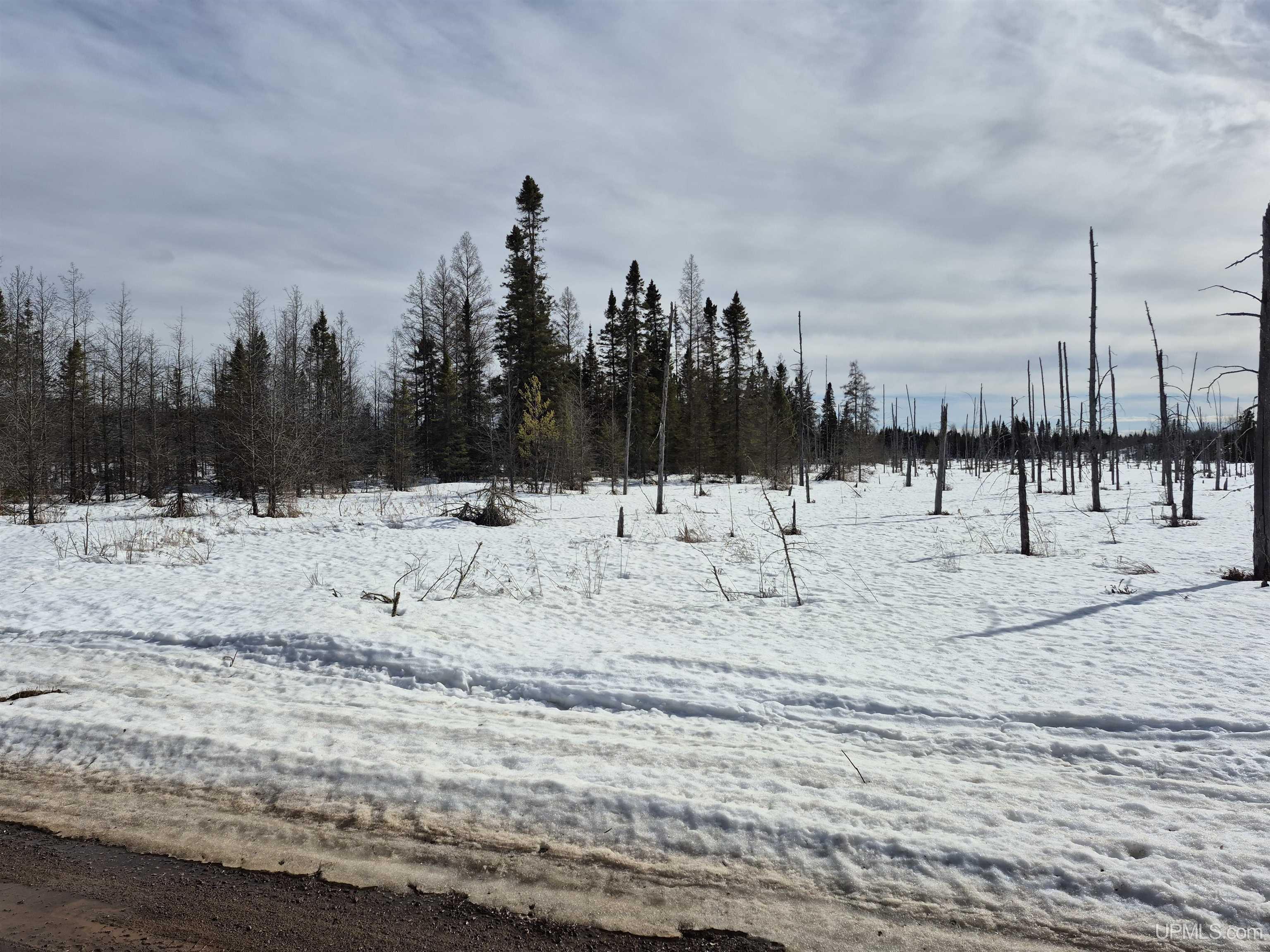 North 20 acres 18 Road photo 14