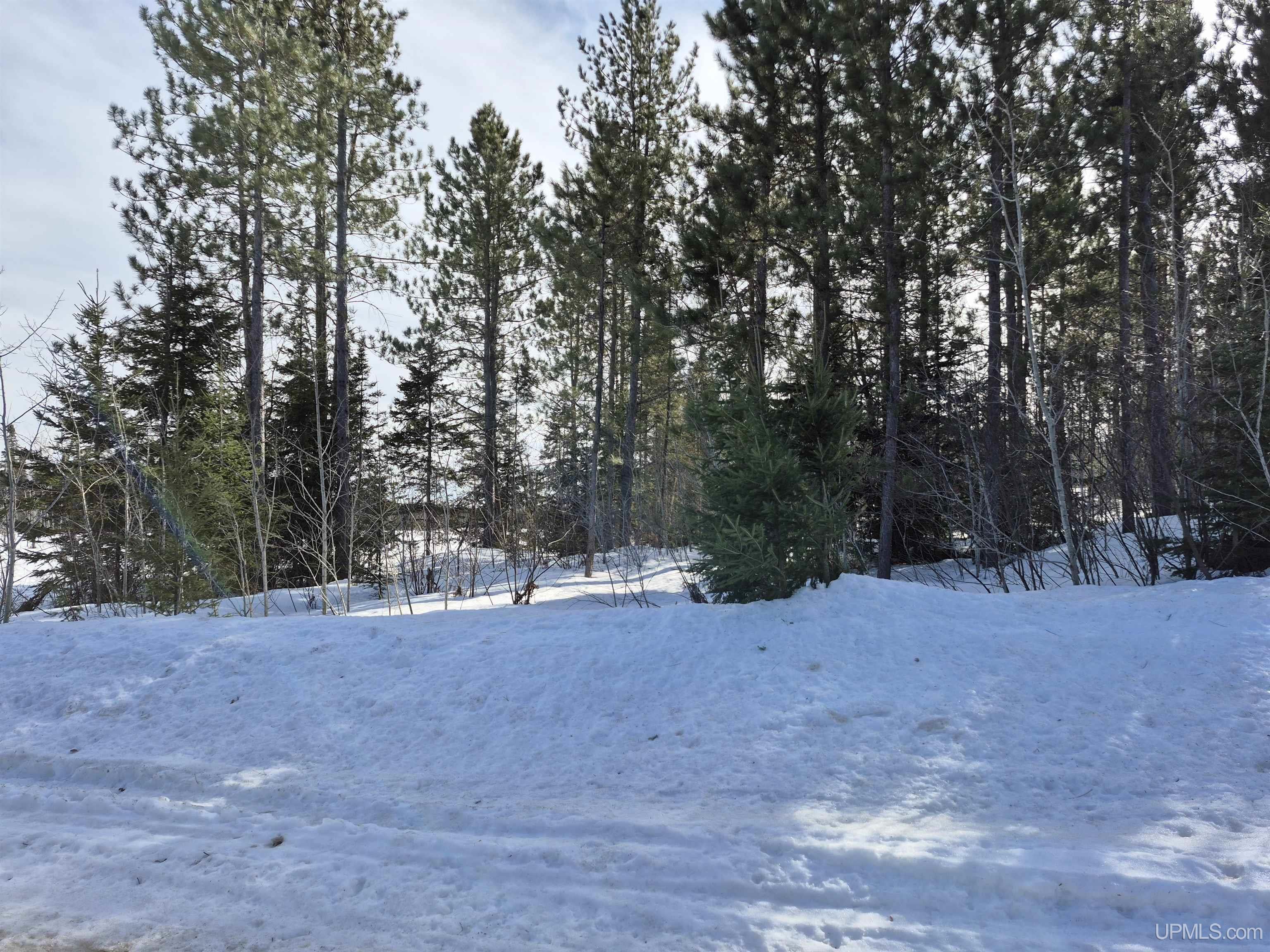North 20 acres 18 Road photo 18
