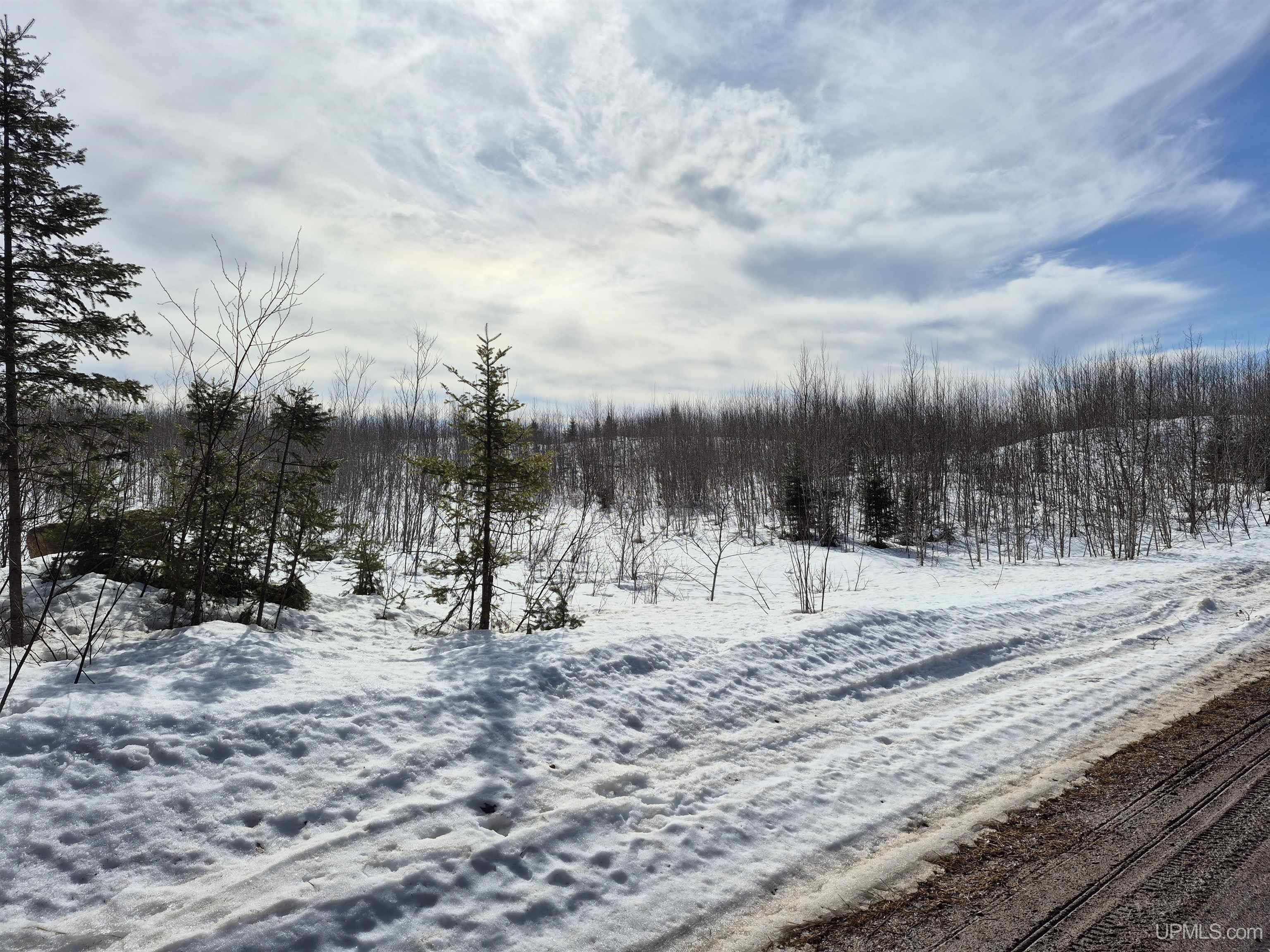 North 20 acres 18 Road photo 3