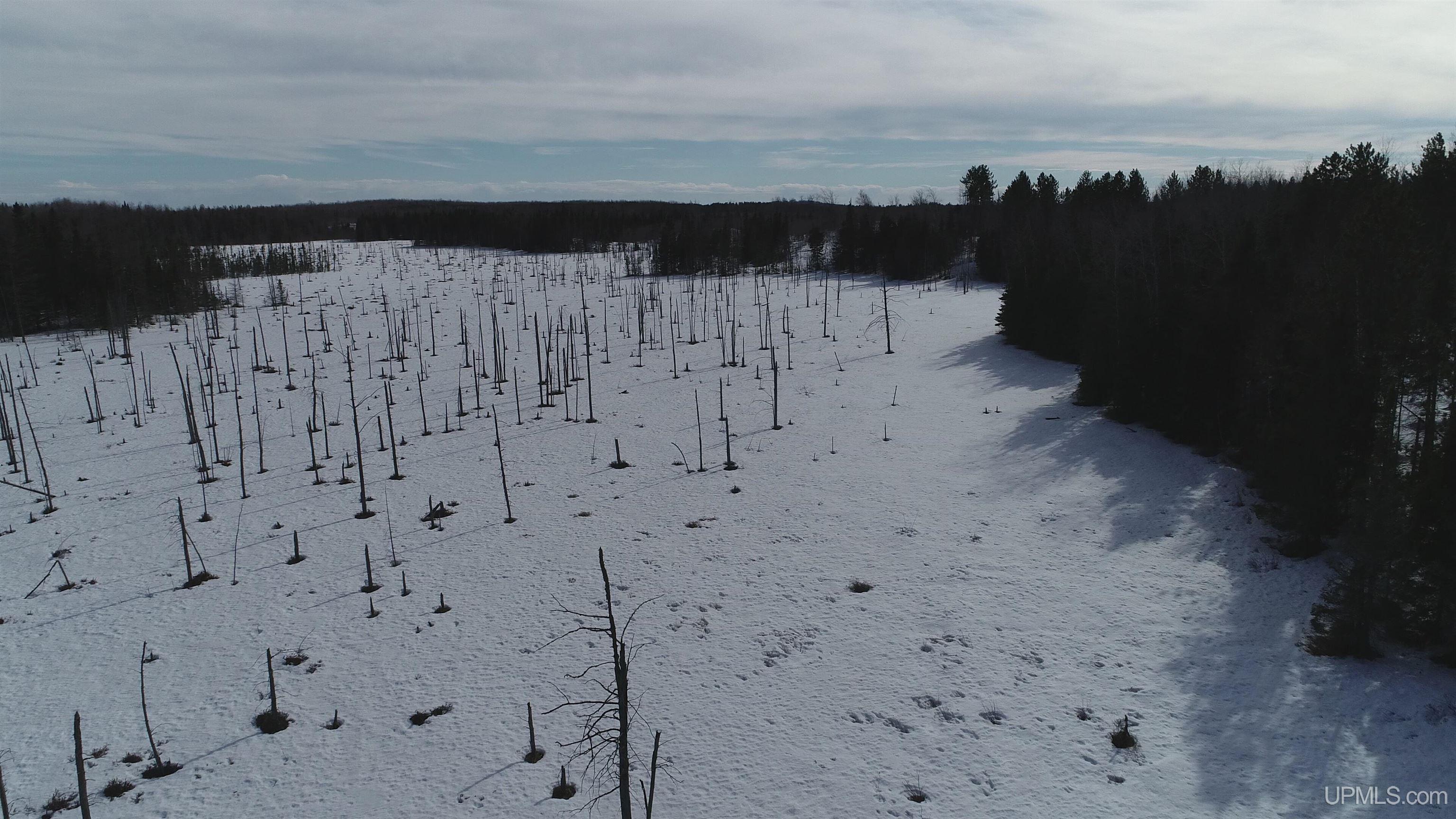 North 20 acres 18 Road photo 21