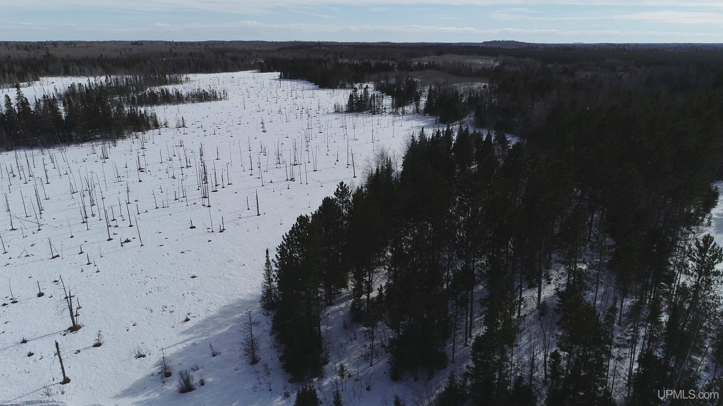 North 20 acres 18 Road photo 24